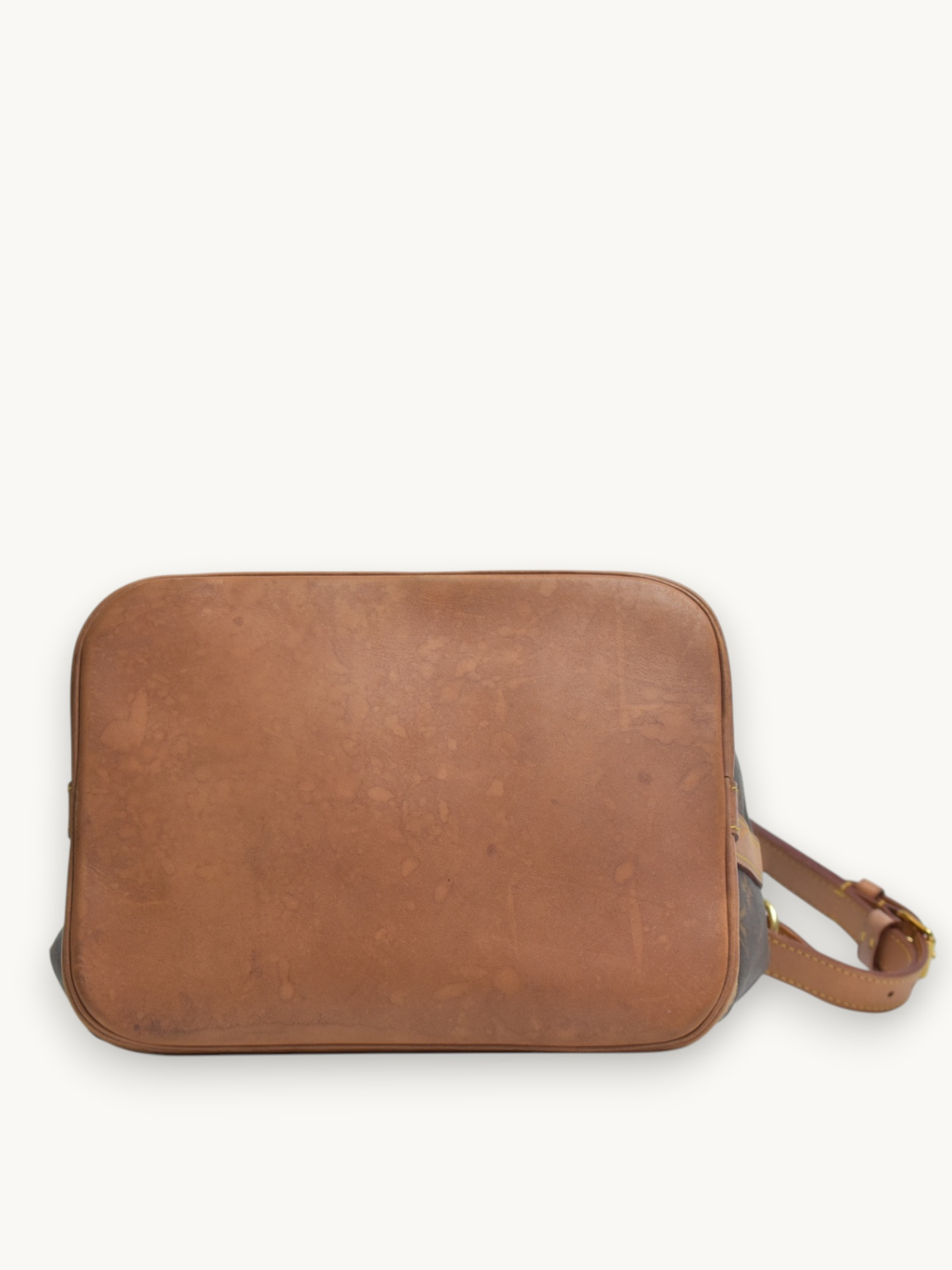 Сумки Louis Vuitton Noe изображение #6