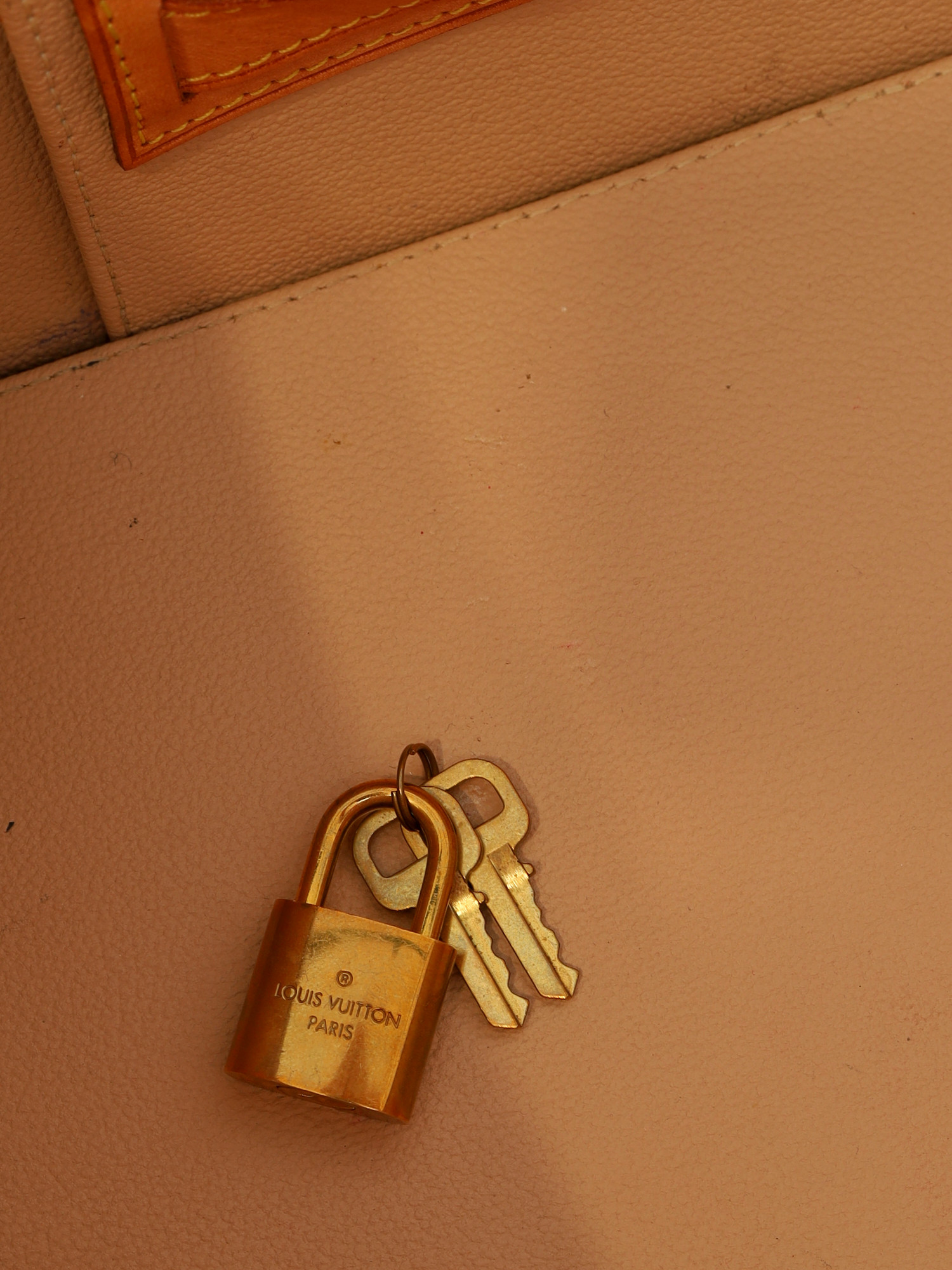 Сумки Louis Vuitton Nice изображение #13