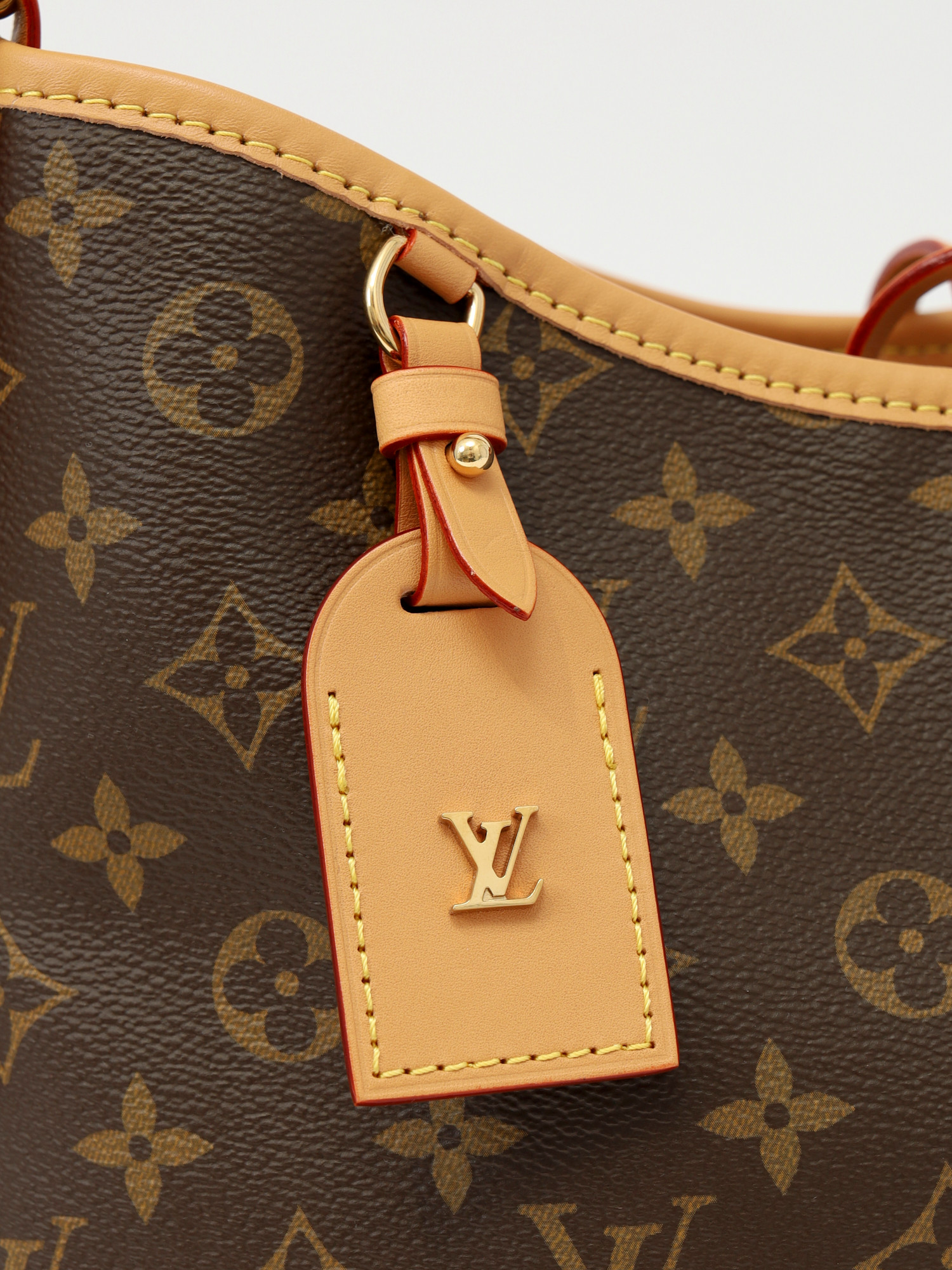 Louis Vuitton CarryAll  5