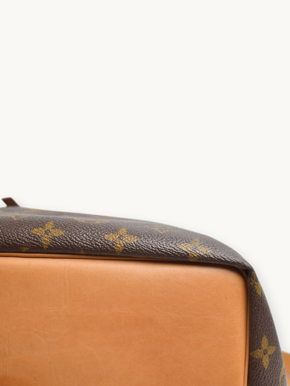 Сумки Louis Vuitton Noe изображение #9
