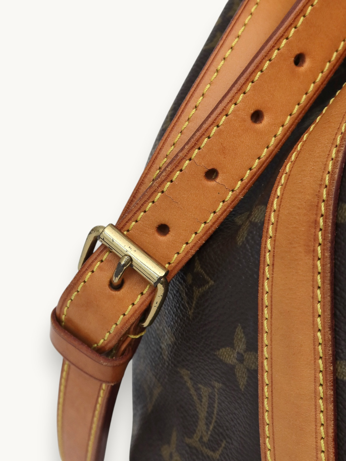 Сумки Louis Vuitton Noe изображение #7