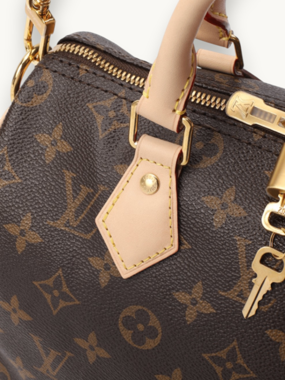 Сумки Louis Vuitton Speedy 25 изображение #5