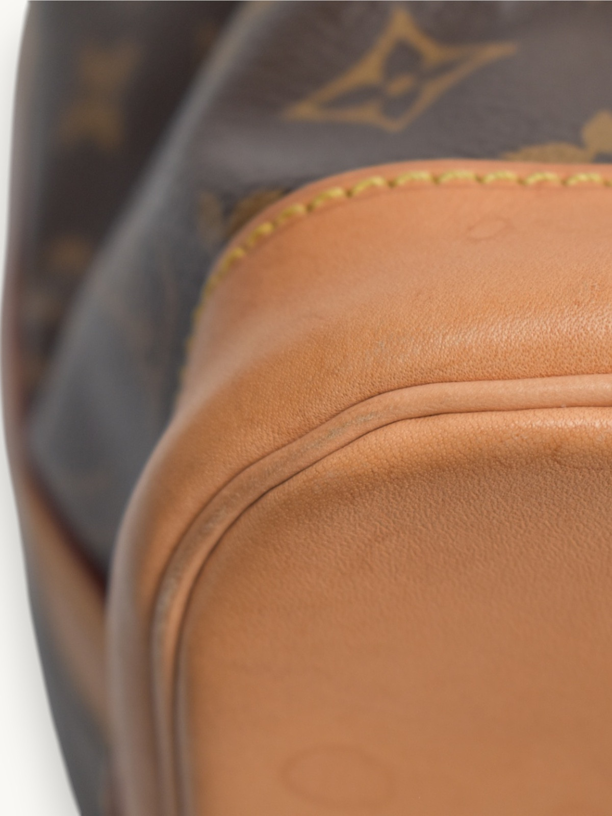 Сумки Louis Vuitton Noe изображение #8