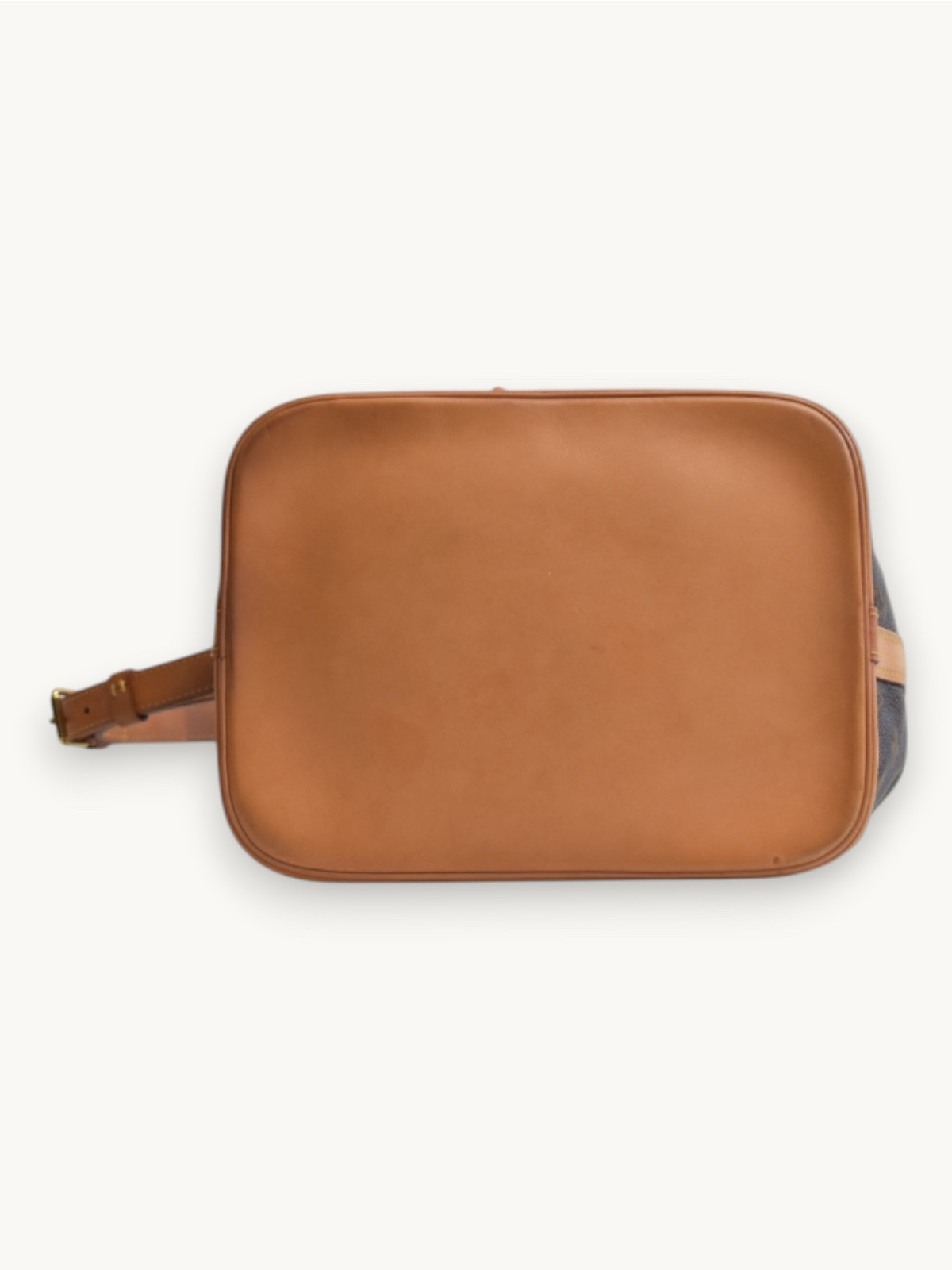 Сумки Louis Vuitton Noe изображение #6