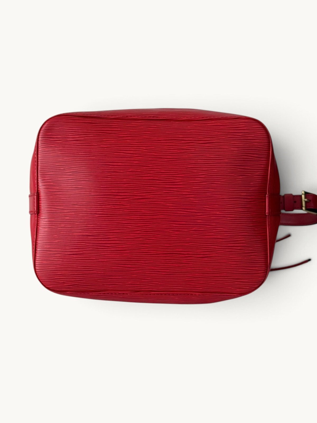 Сумки Louis Vuitton Noe изображение #11