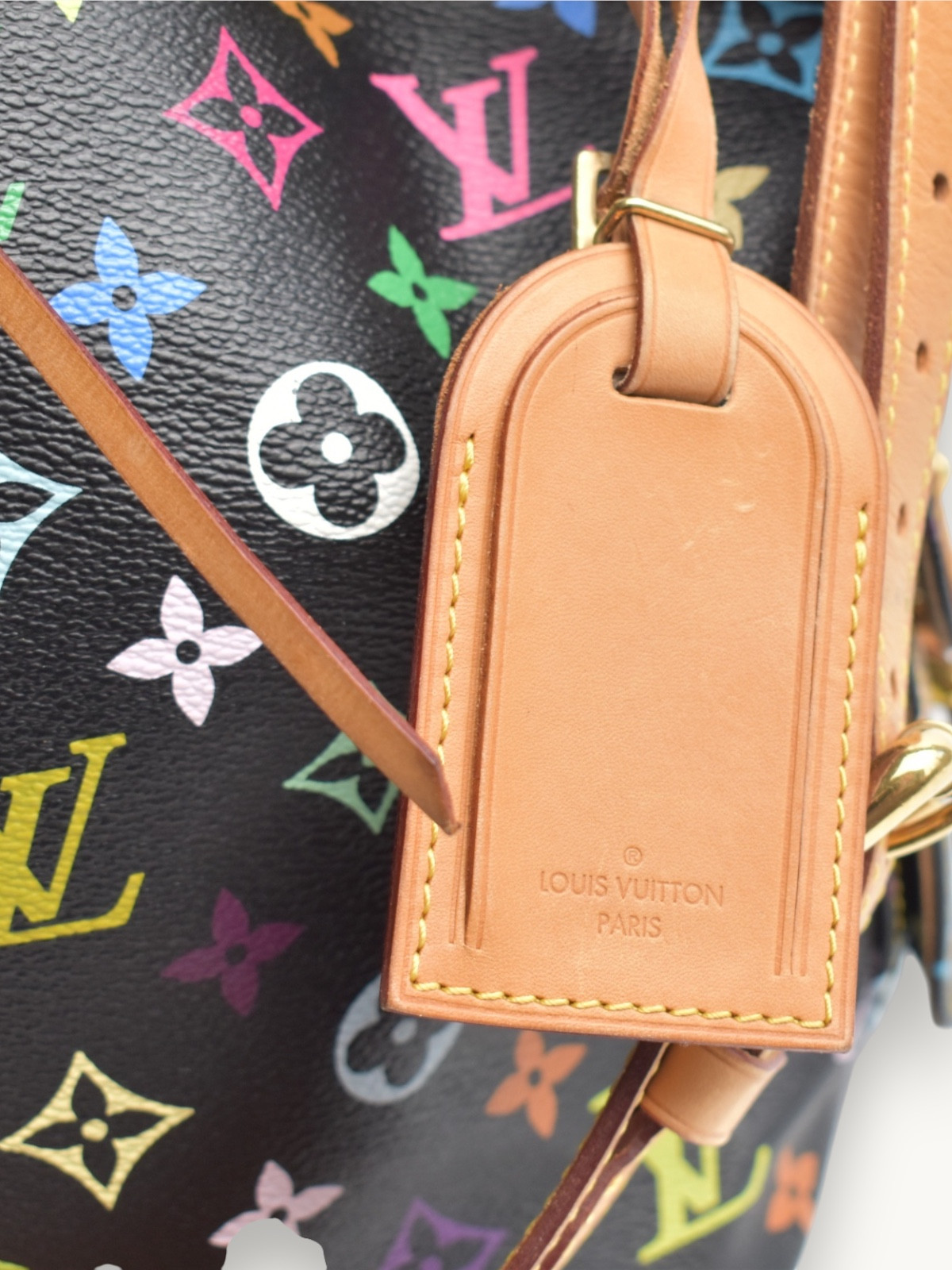 Сумки Louis Vuitton Noe изображение #10