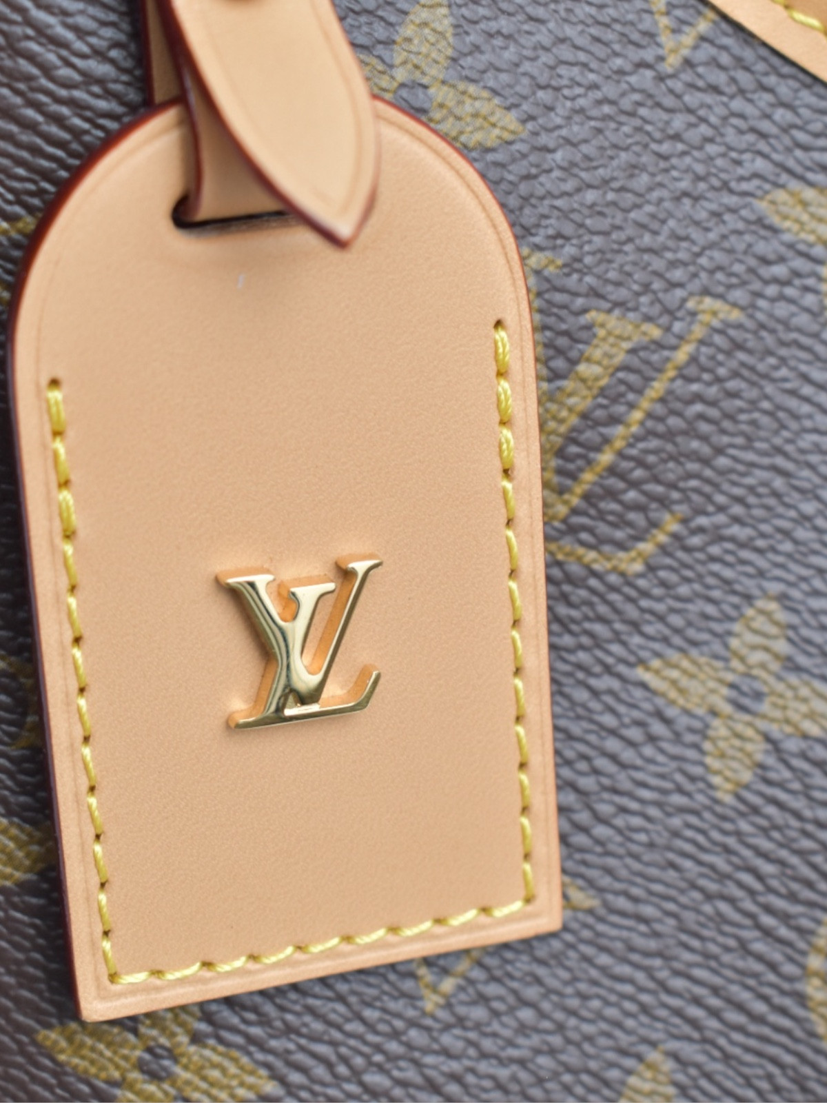 Сумки Louis Vuitton CarryAll изображение #9