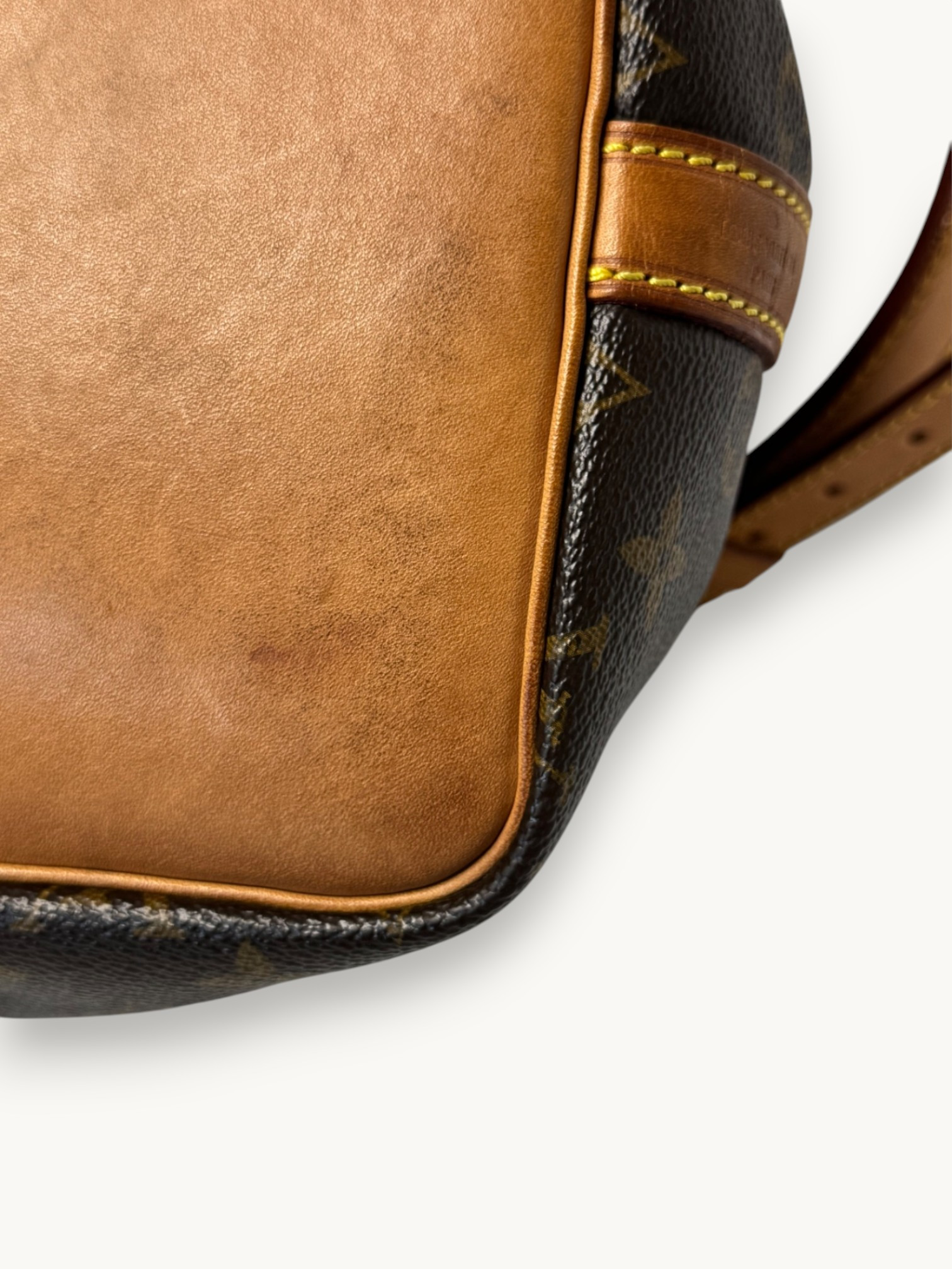 Сумки Louis Vuitton Noe изображение #9