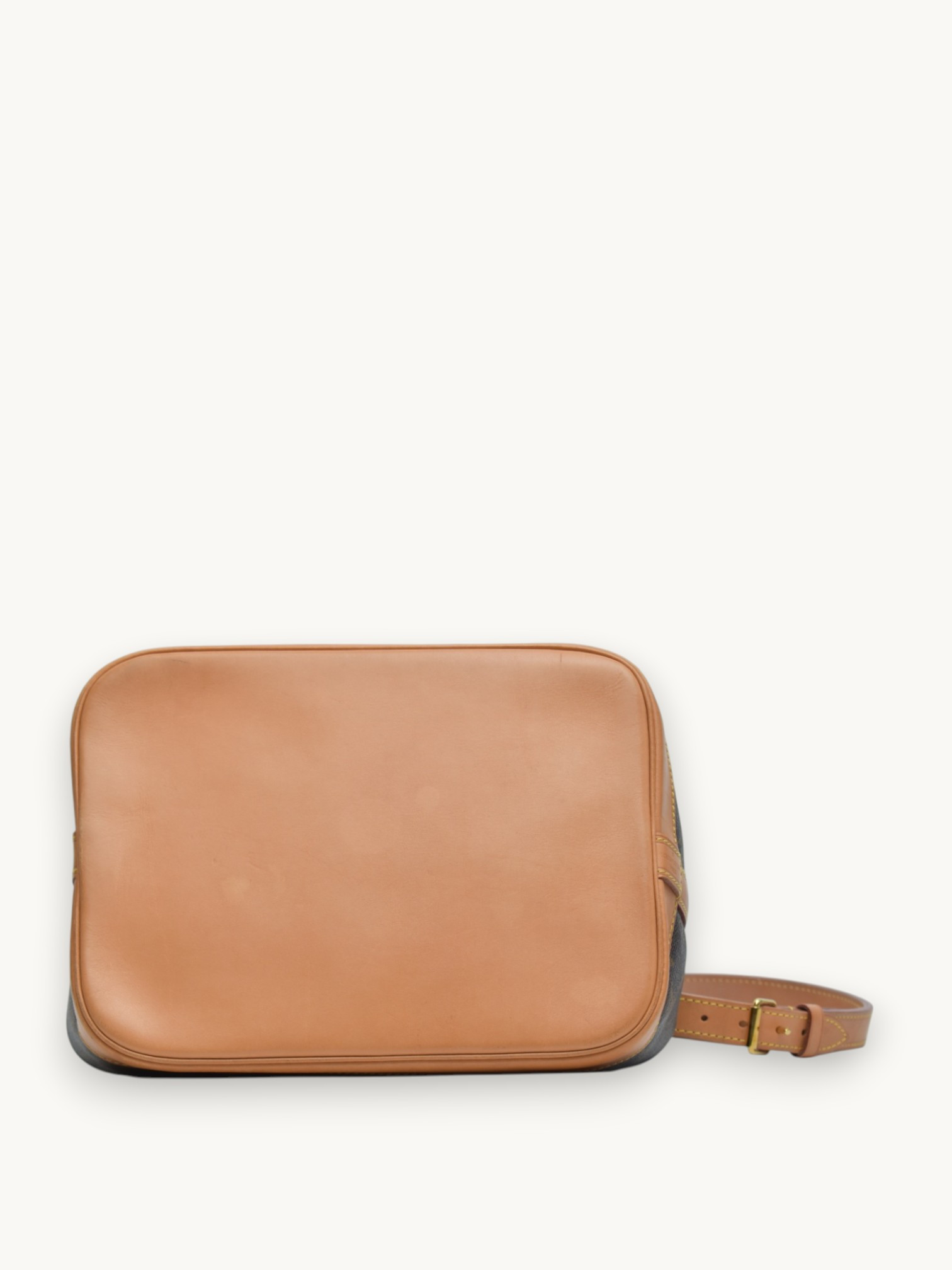 Сумки Louis Vuitton Noe изображение #7