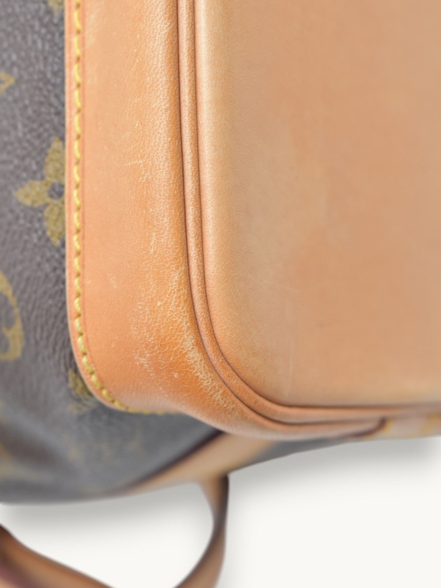 Сумки Louis Vuitton Noe изображение #7