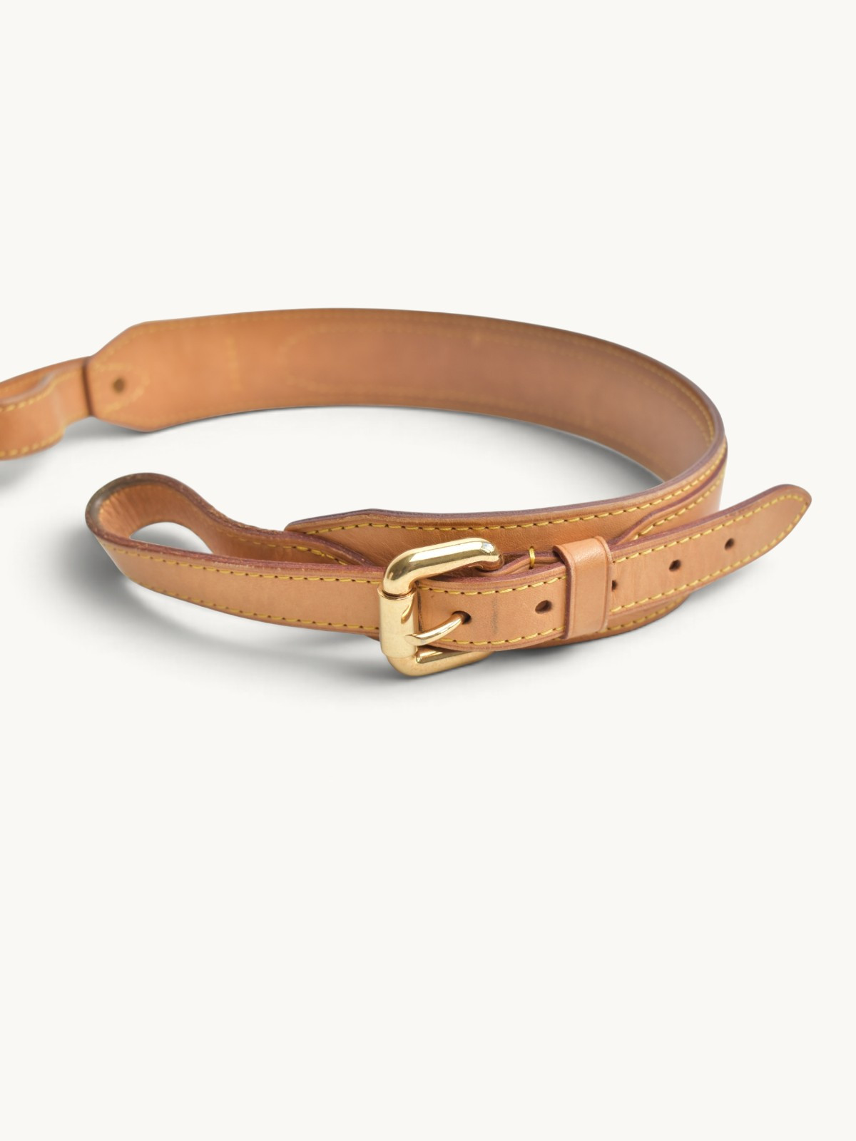 Сумки Louis Vuitton Noe изображение #13