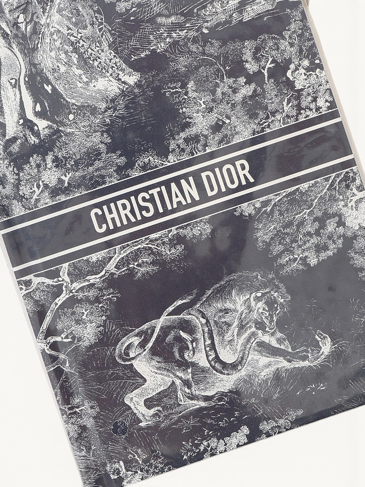 Аксессуары Dior изображение #3