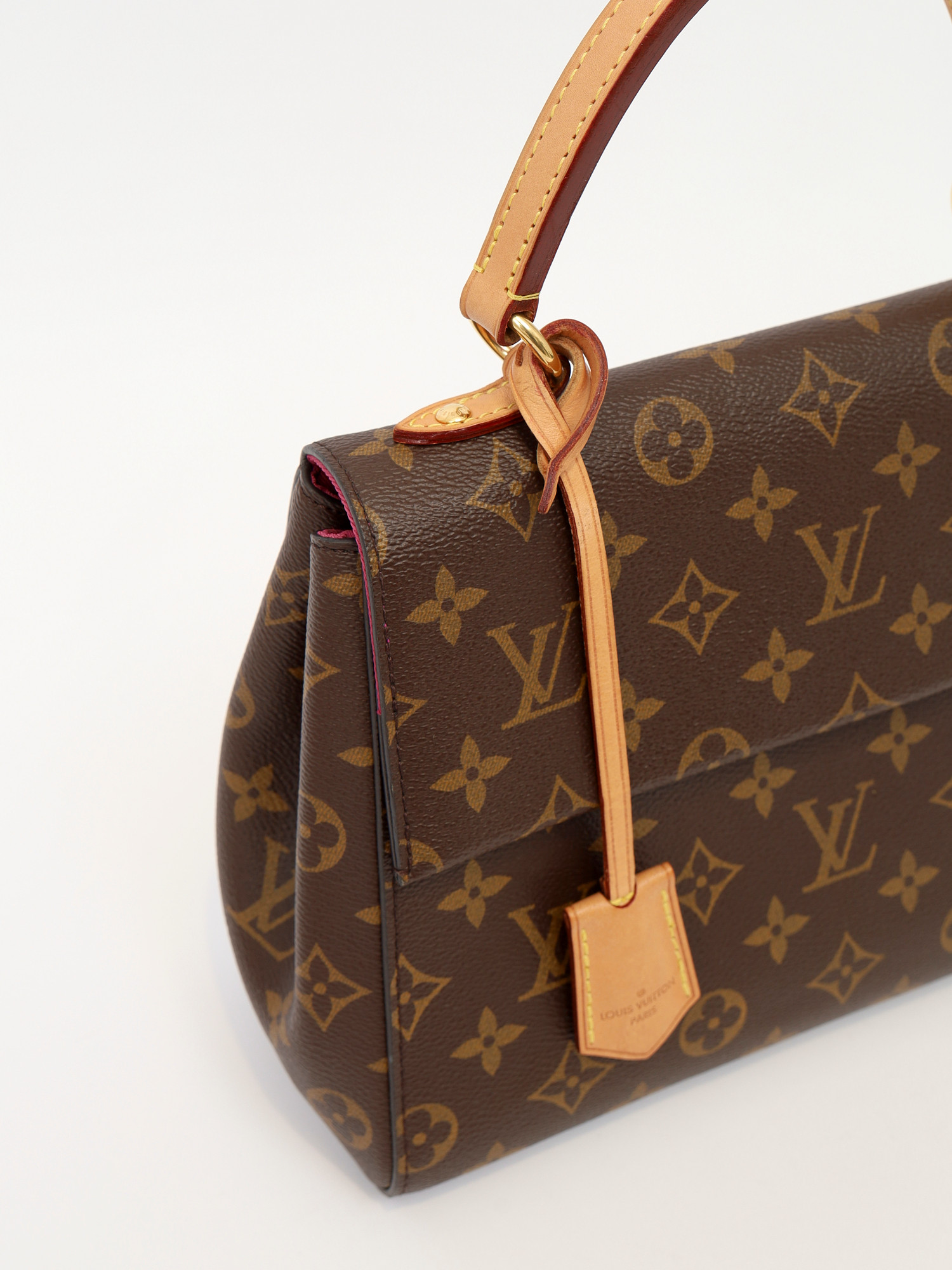 Сумки Louis Vuitton Cluny изображение #6
