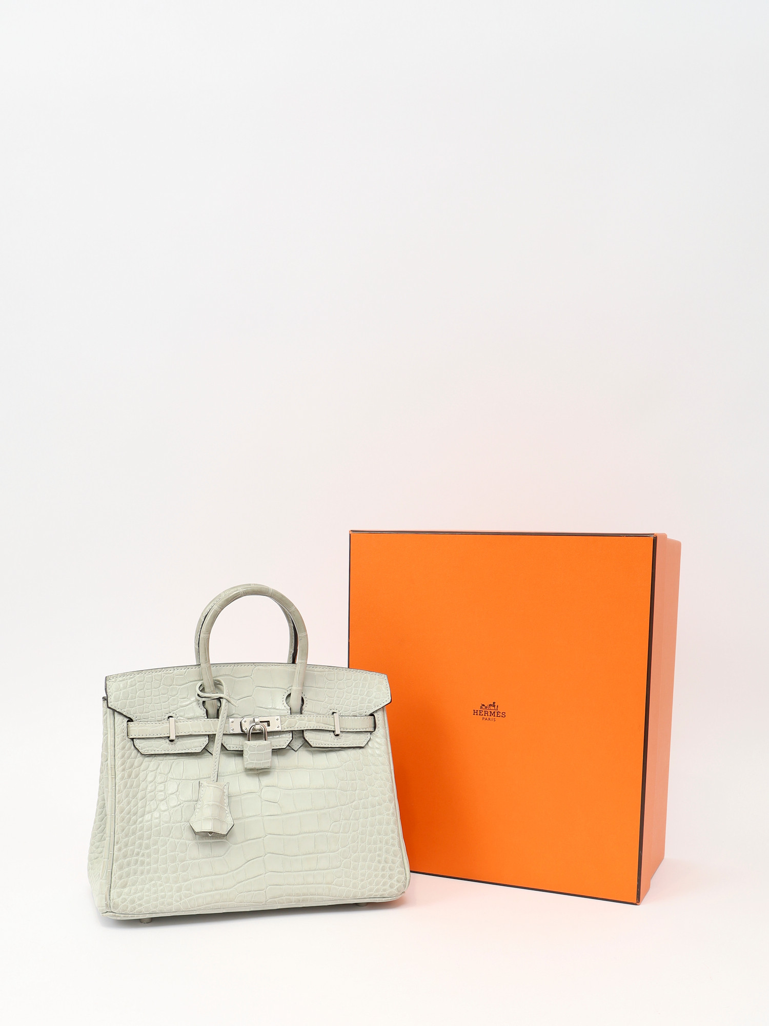 Hermes Birkin 25 5