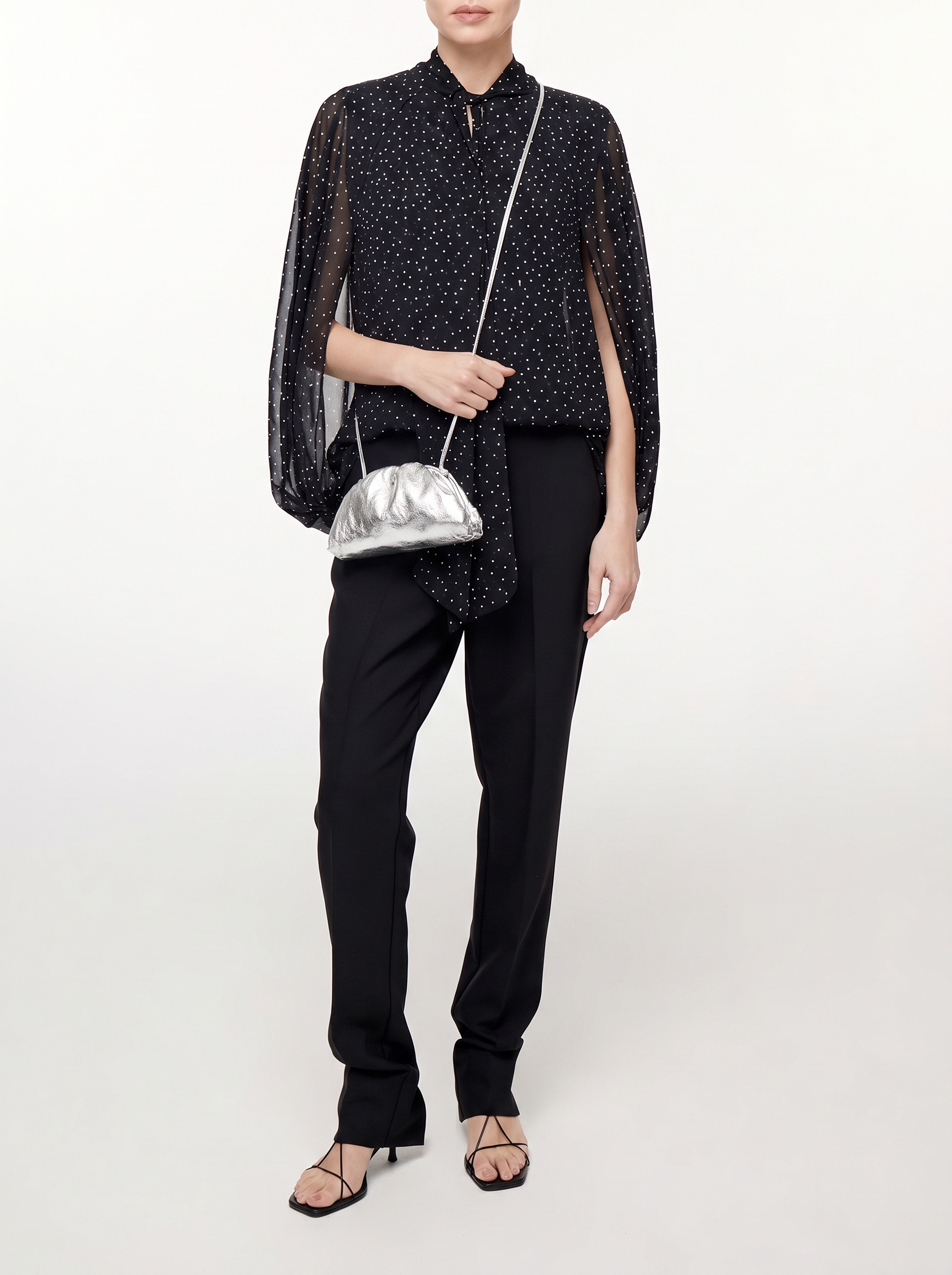 Bottega Veneta Pouch  2