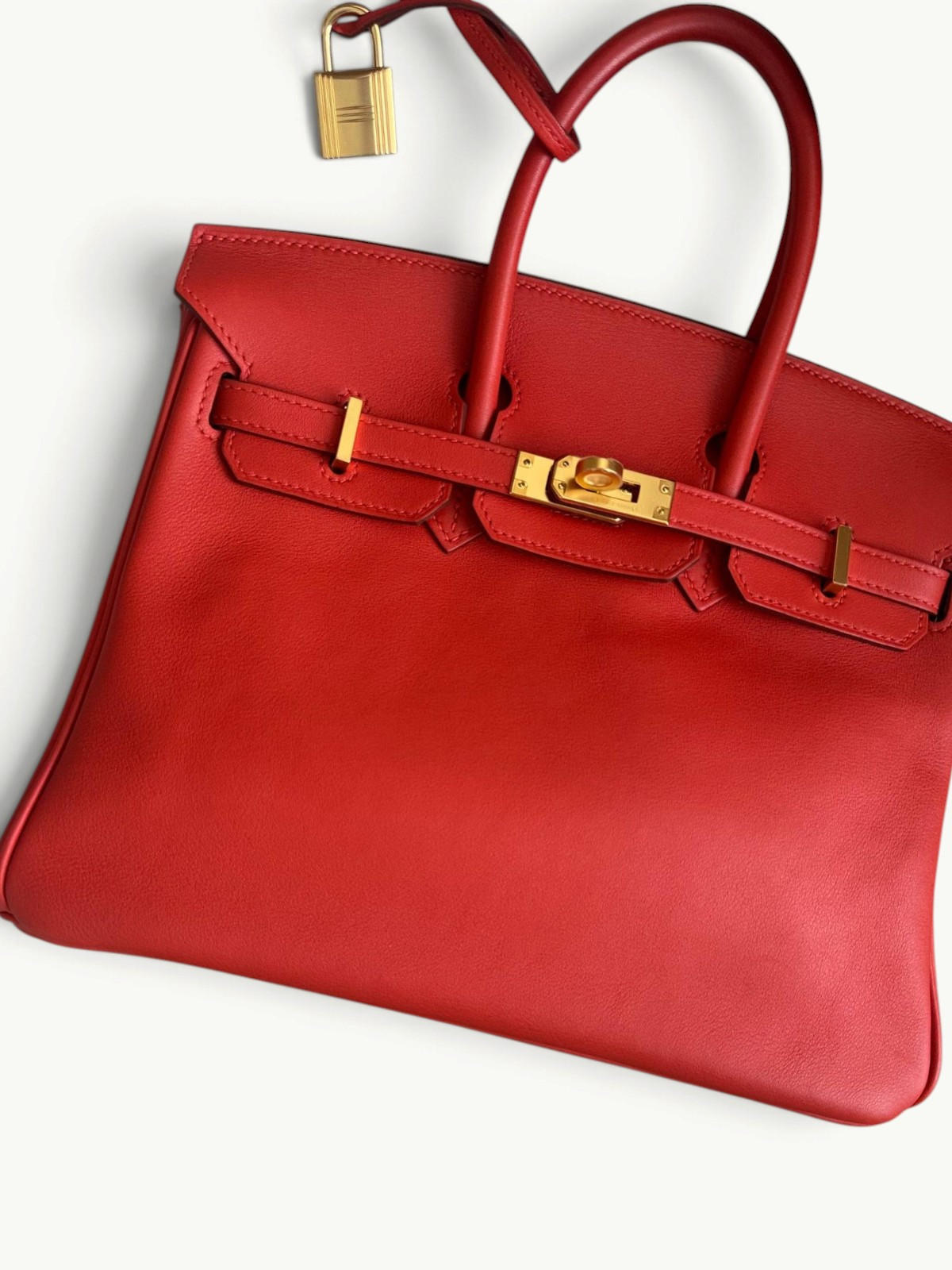 Hermes Birkin 25 5