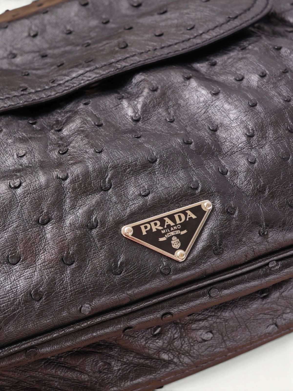 Prada Hoop  5