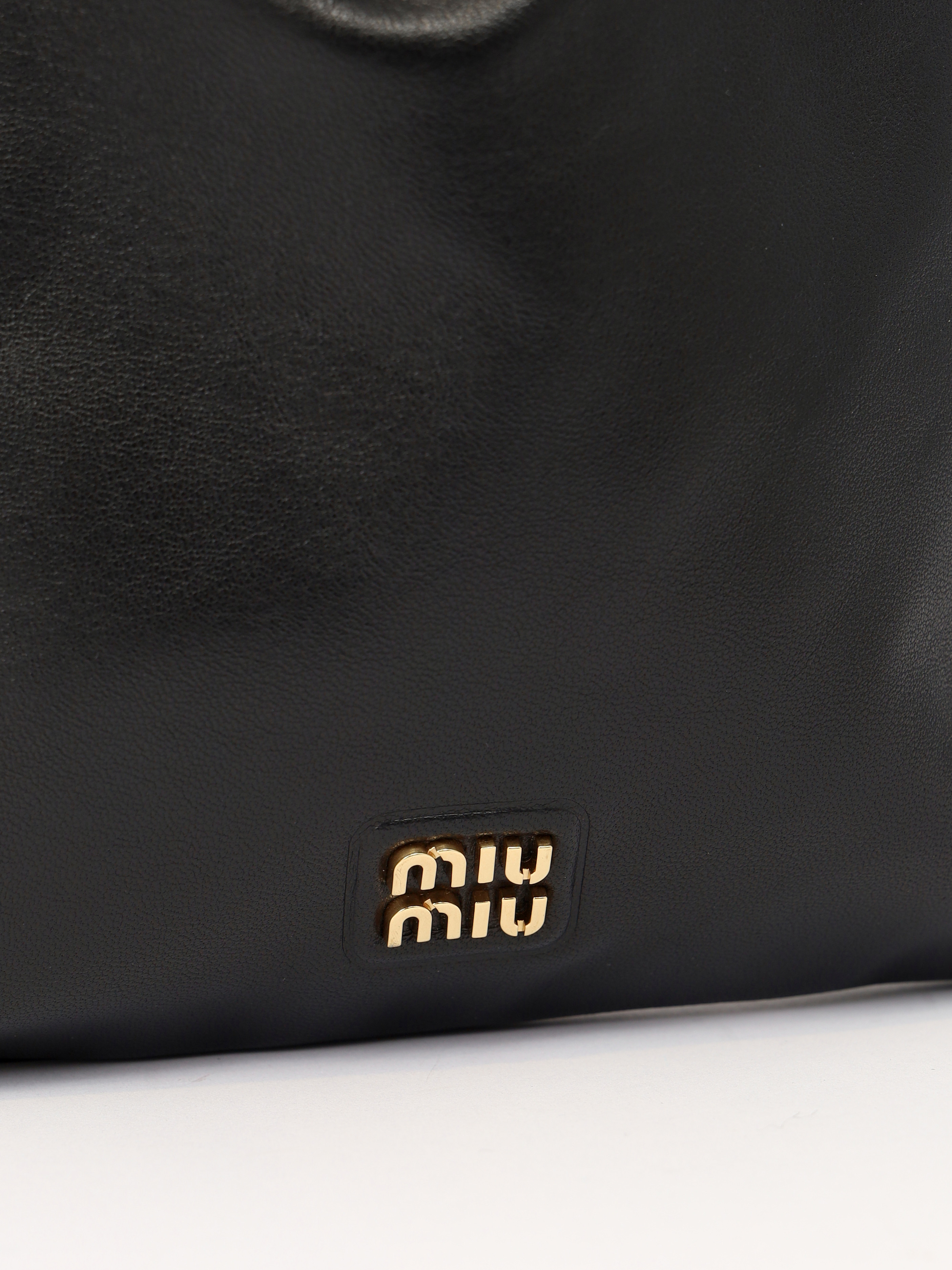 Miu Miu Pouch  5