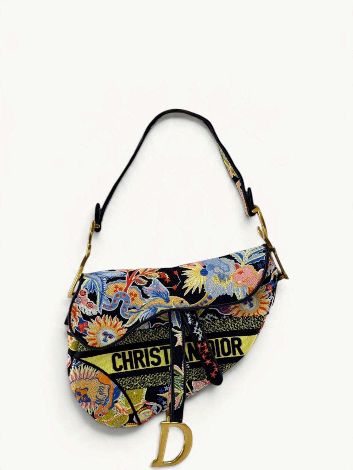 Dior Saddle 