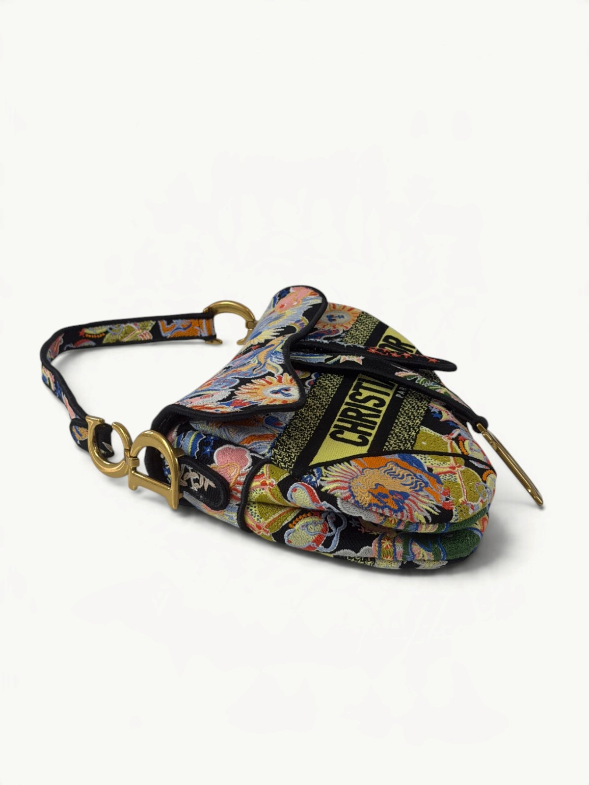 Dior Saddle  5