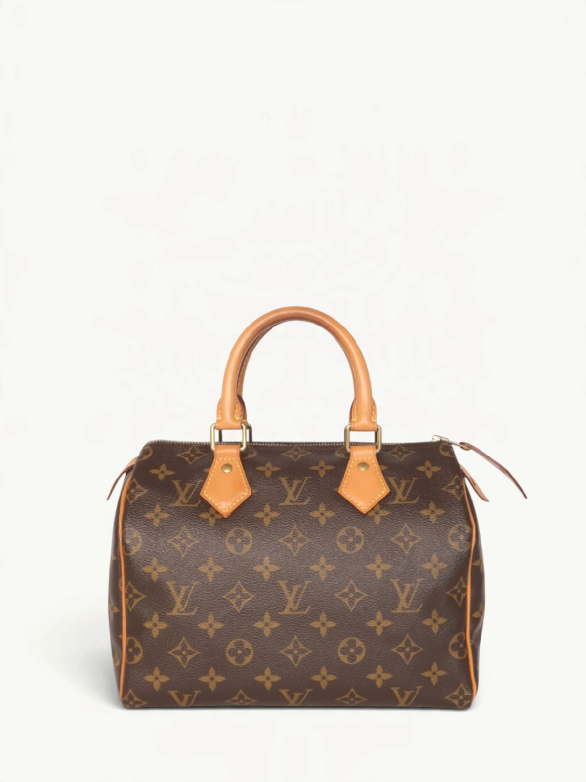 Louis Vuitton Speedy 25