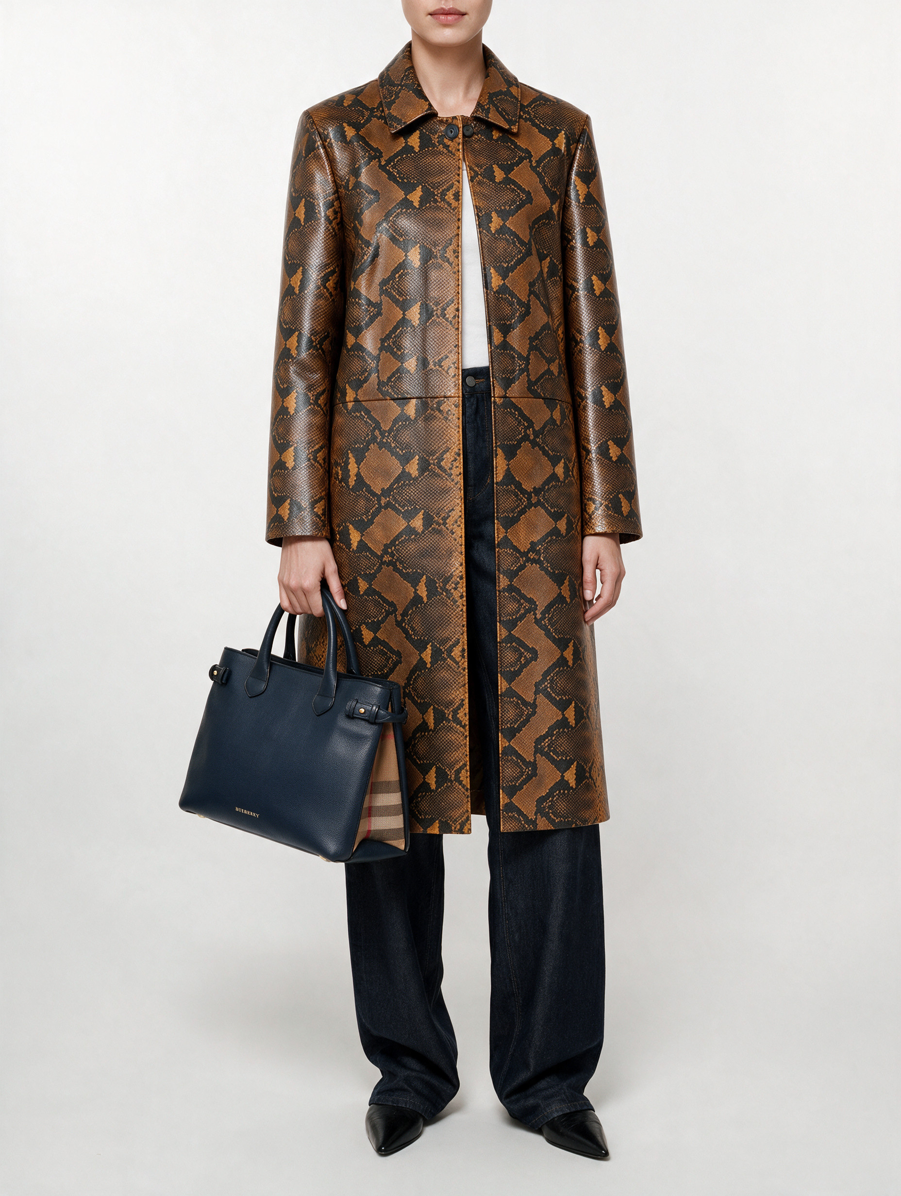 Burberry Banner  2