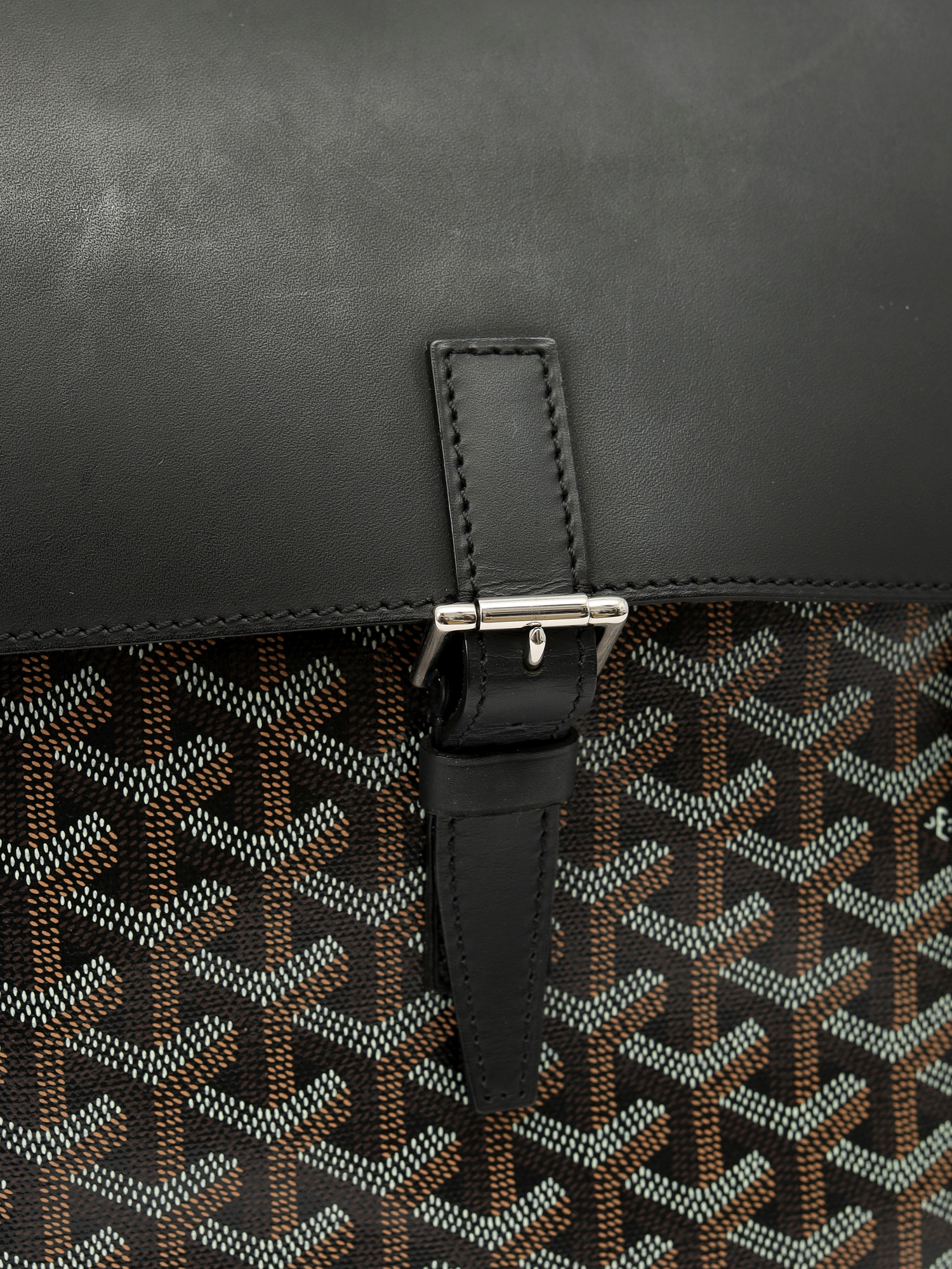Goyard Alpin  5