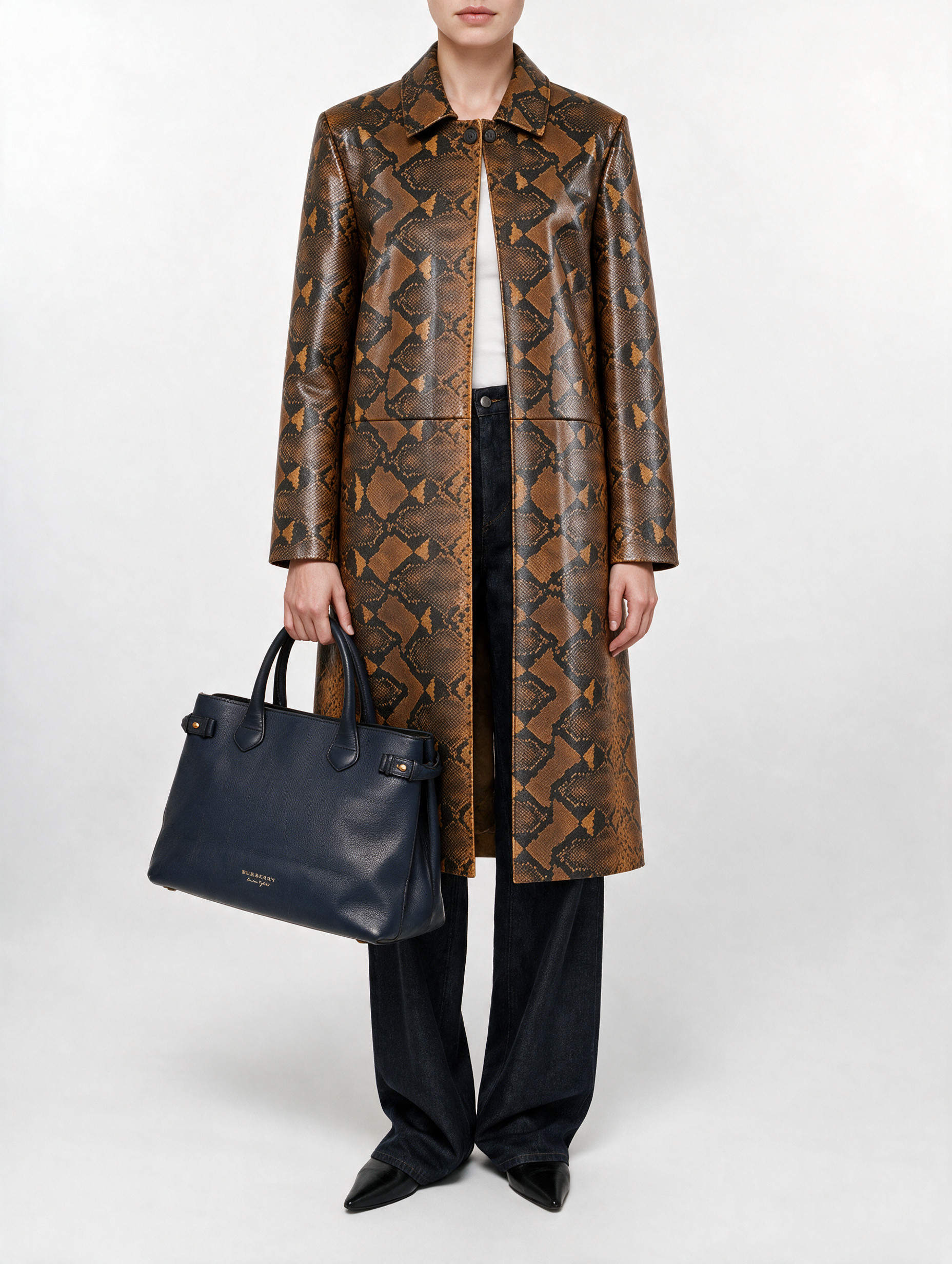 Burberry Banner  2