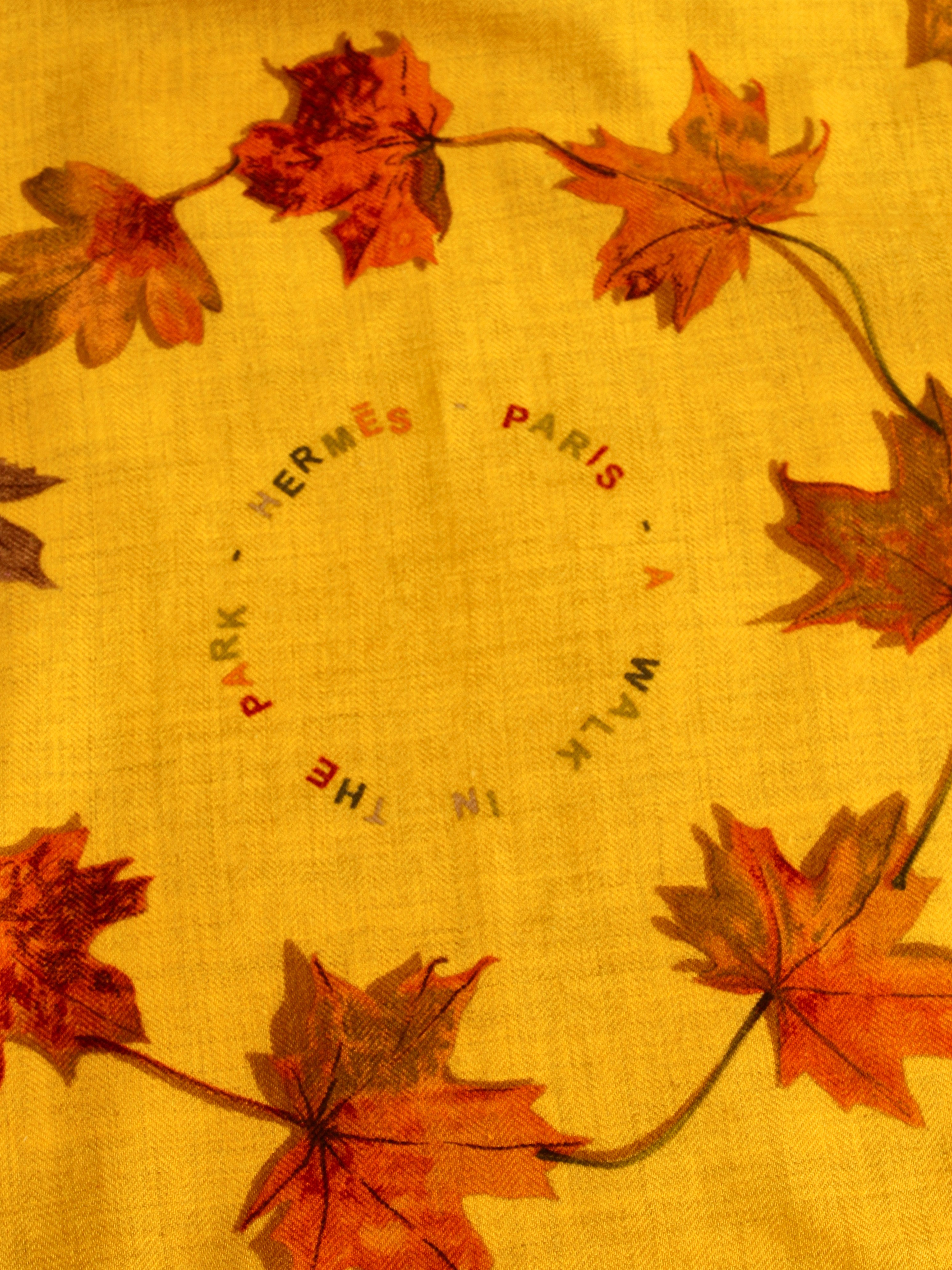 Hermes Silk Scarf 1
