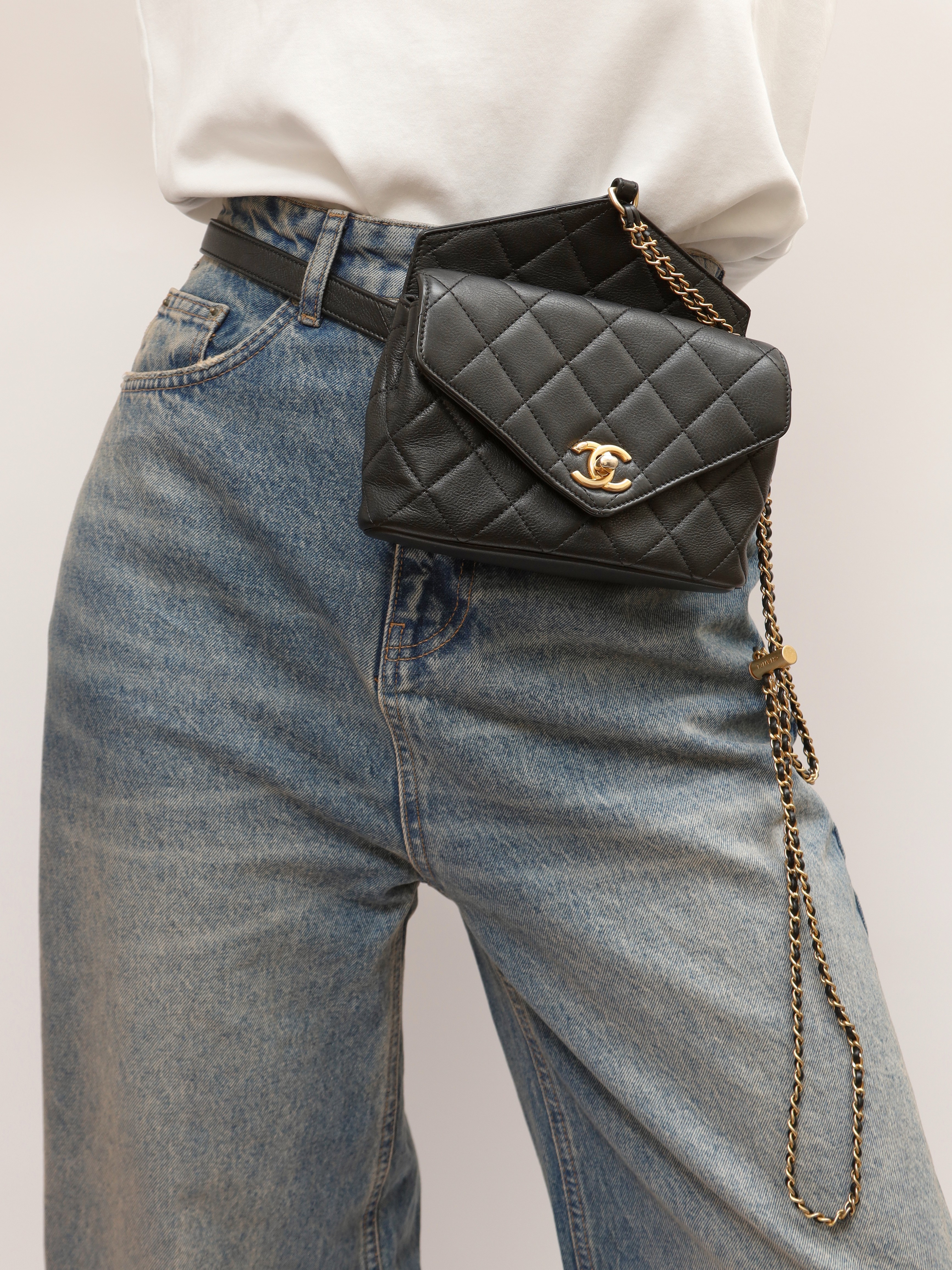 Chanel Carry With Chic  2
