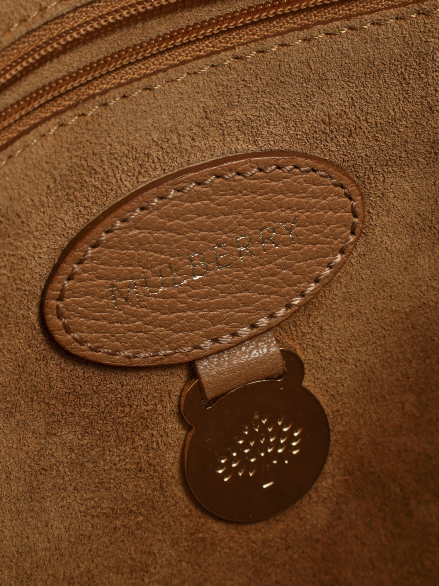 Mulberry Lily  11