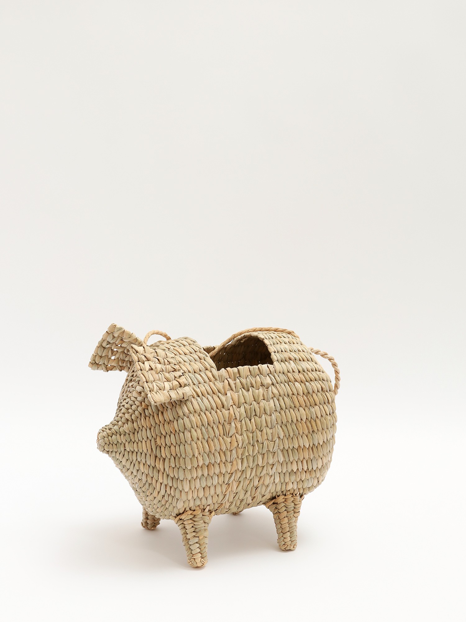 Cult Gaia Raffia Bag 2