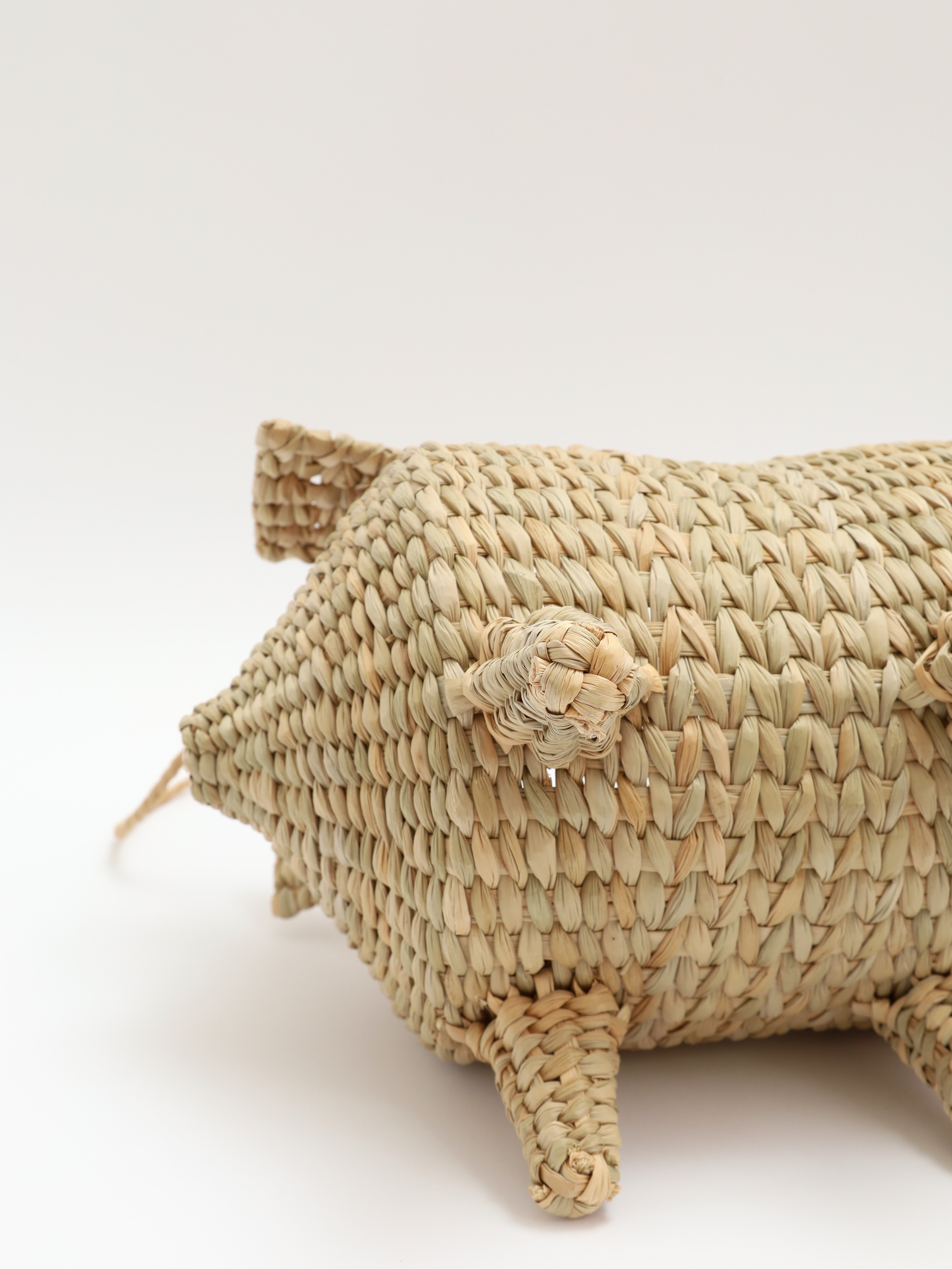 Cult Gaia Raffia Bag 7