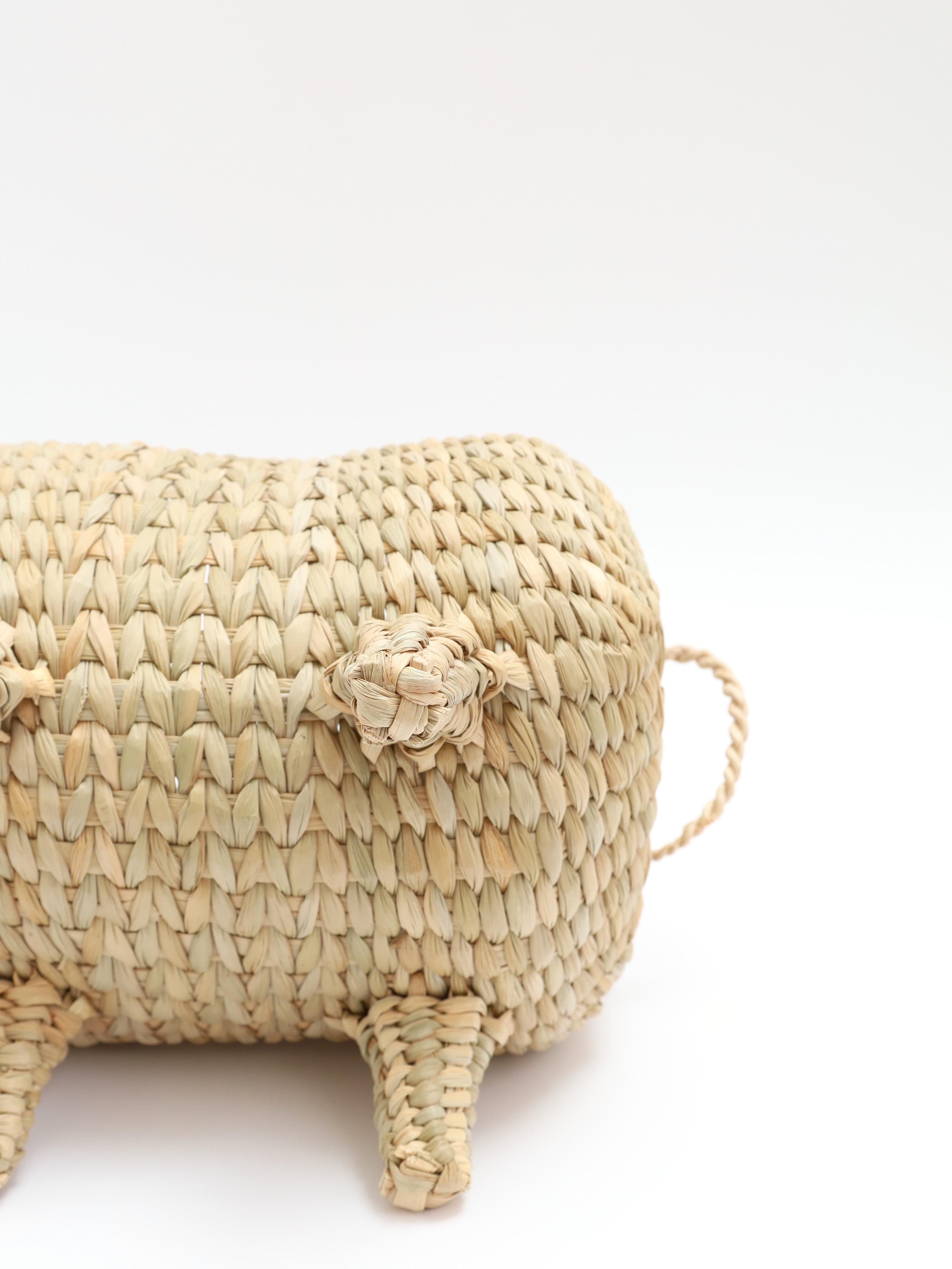 Cult Gaia Raffia Bag 8
