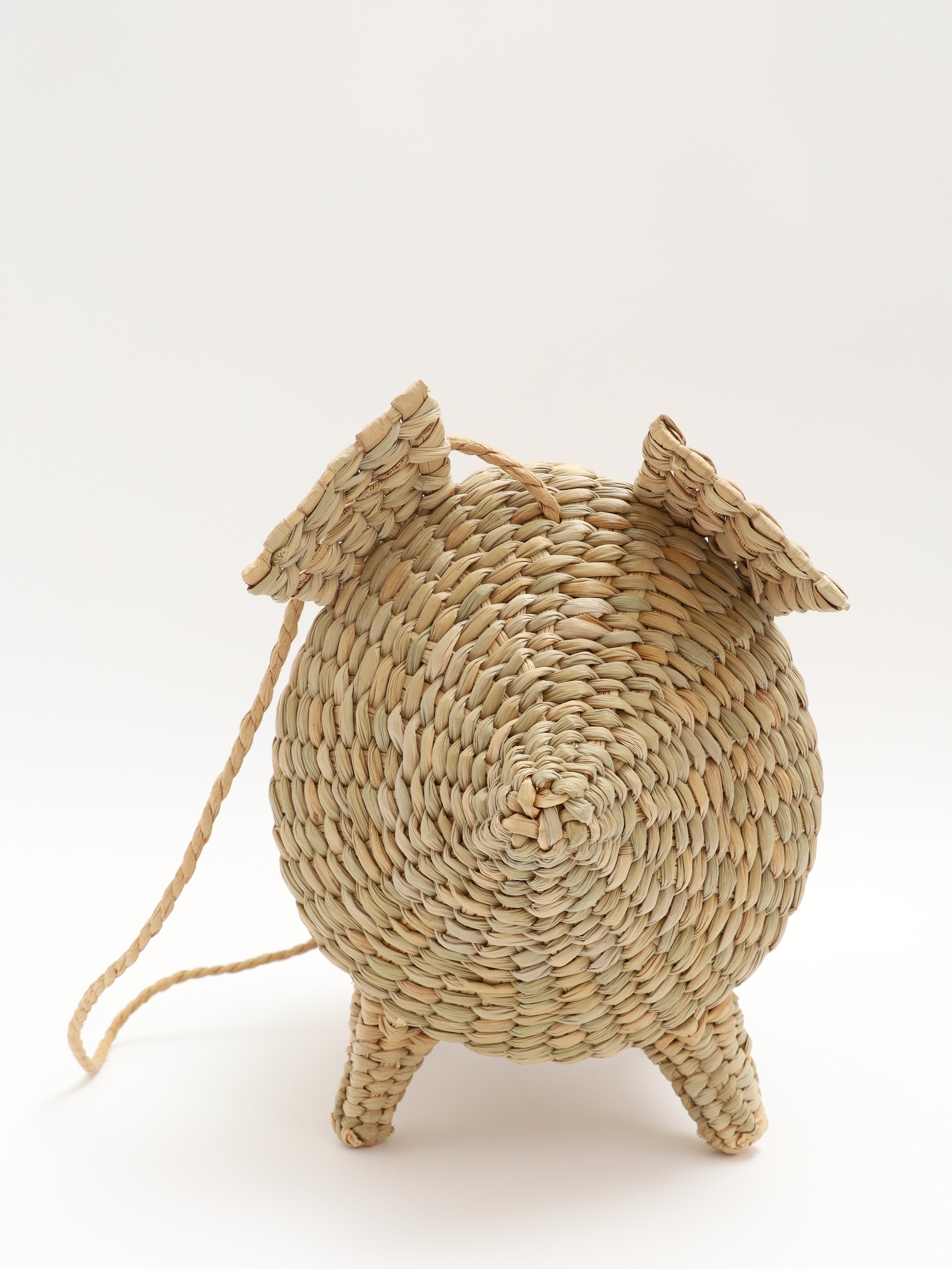 Cult Gaia Raffia Bag 5