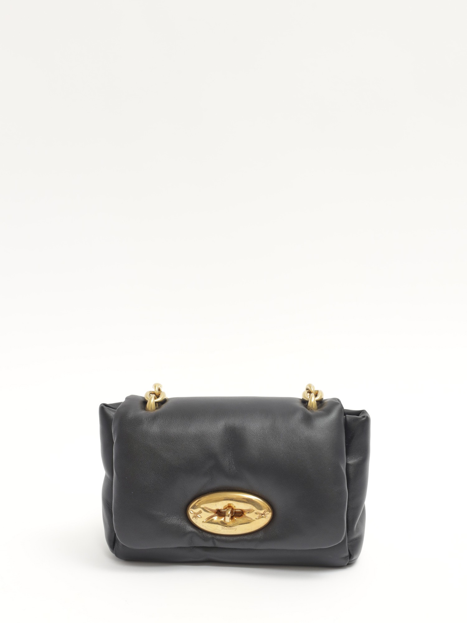 Mulberry Lily  0