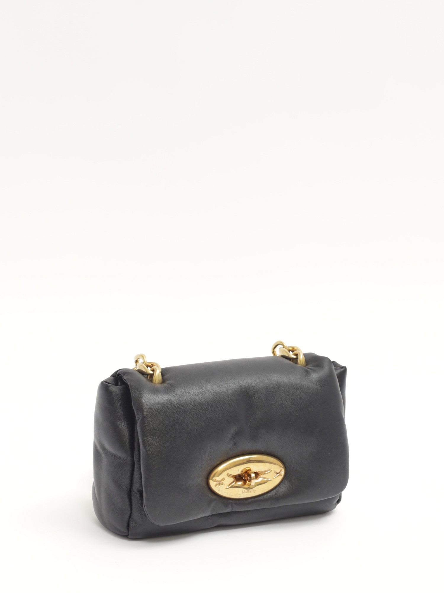 Mulberry Lily  2