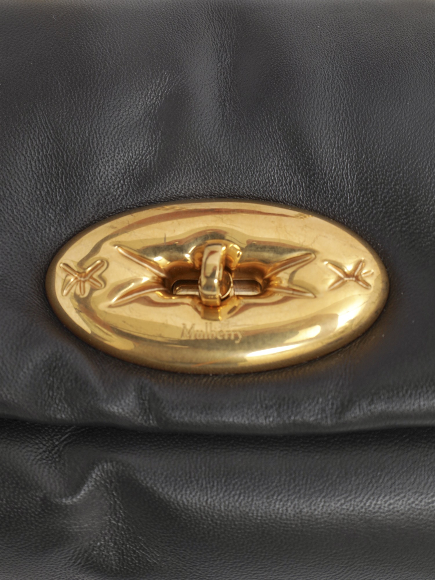 Mulberry Lily  5