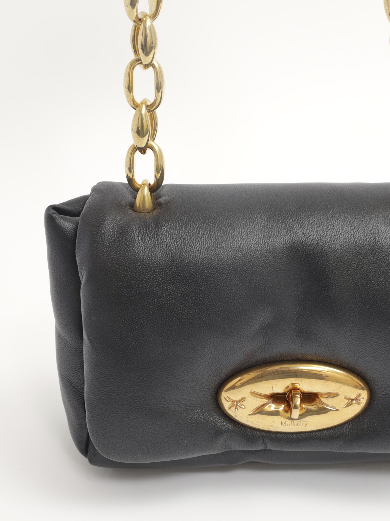 Mulberry Lily  4