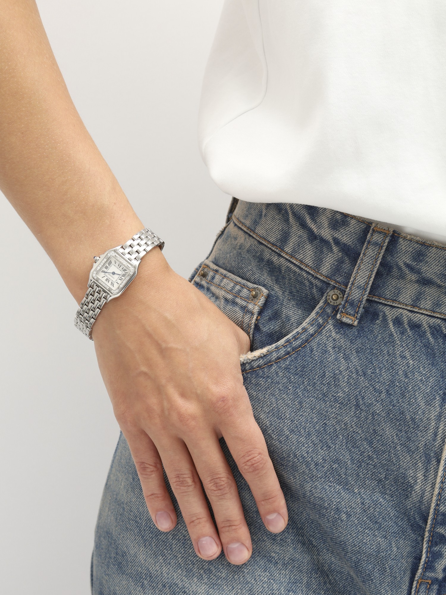 Cartier Panthère de Cartier Small 1