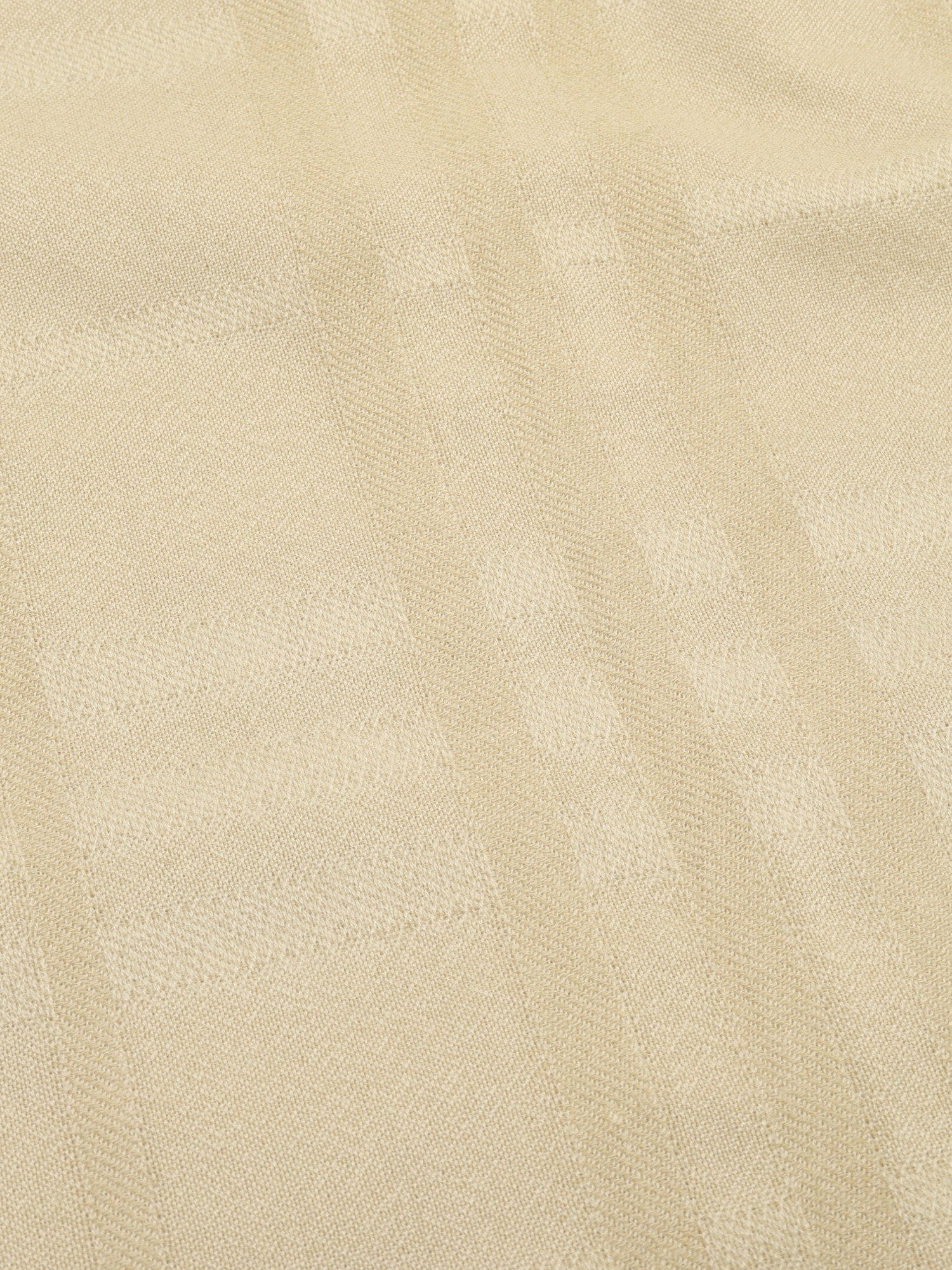 Burberry Scarf 3