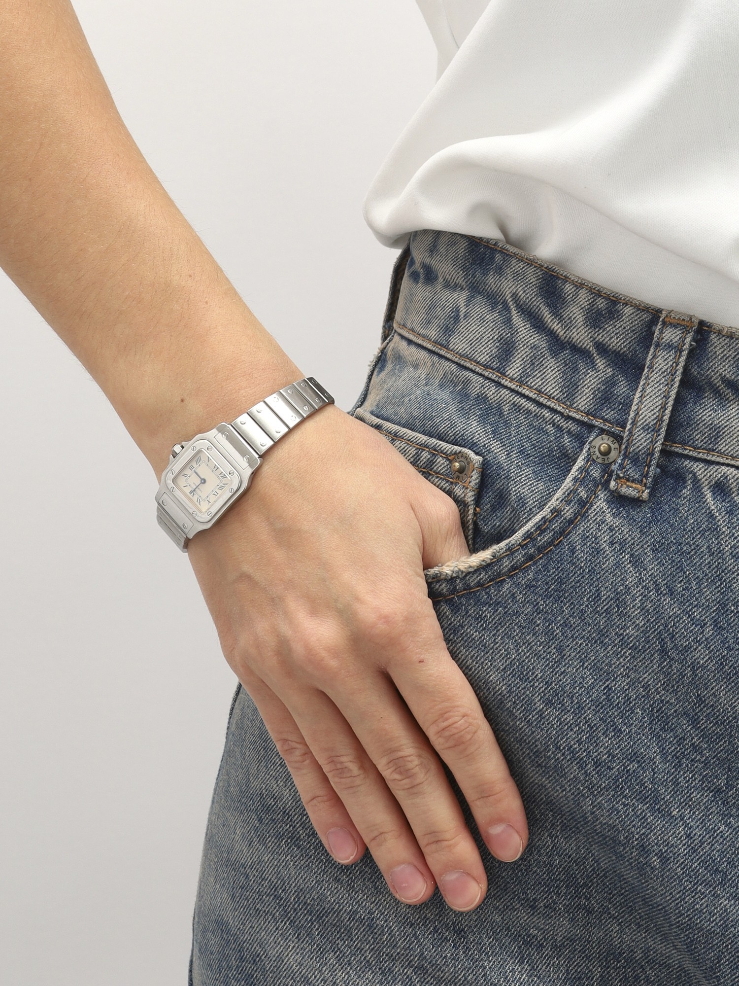 Cartier Santos Small 2