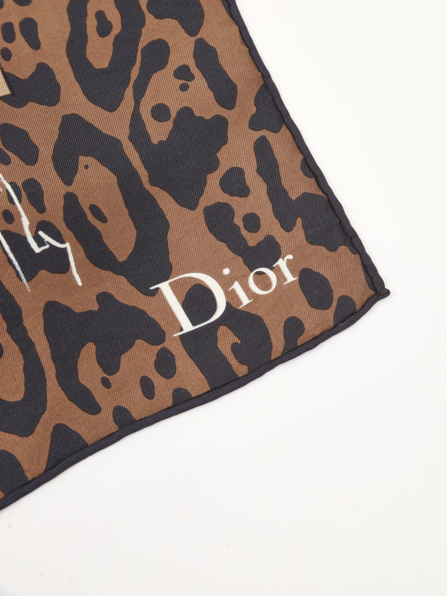 Dior Silk Scarf  2