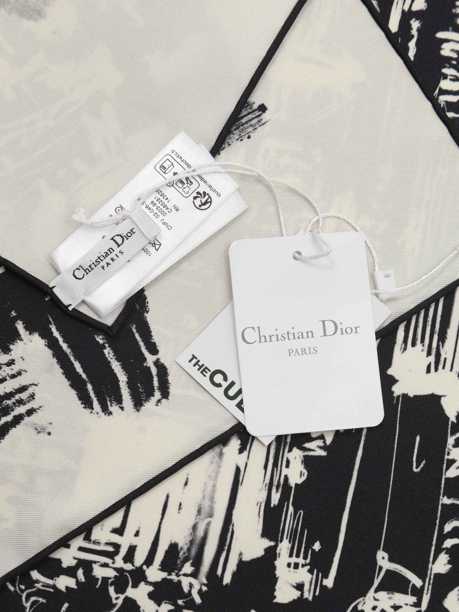 Dior Silk Scarf  6