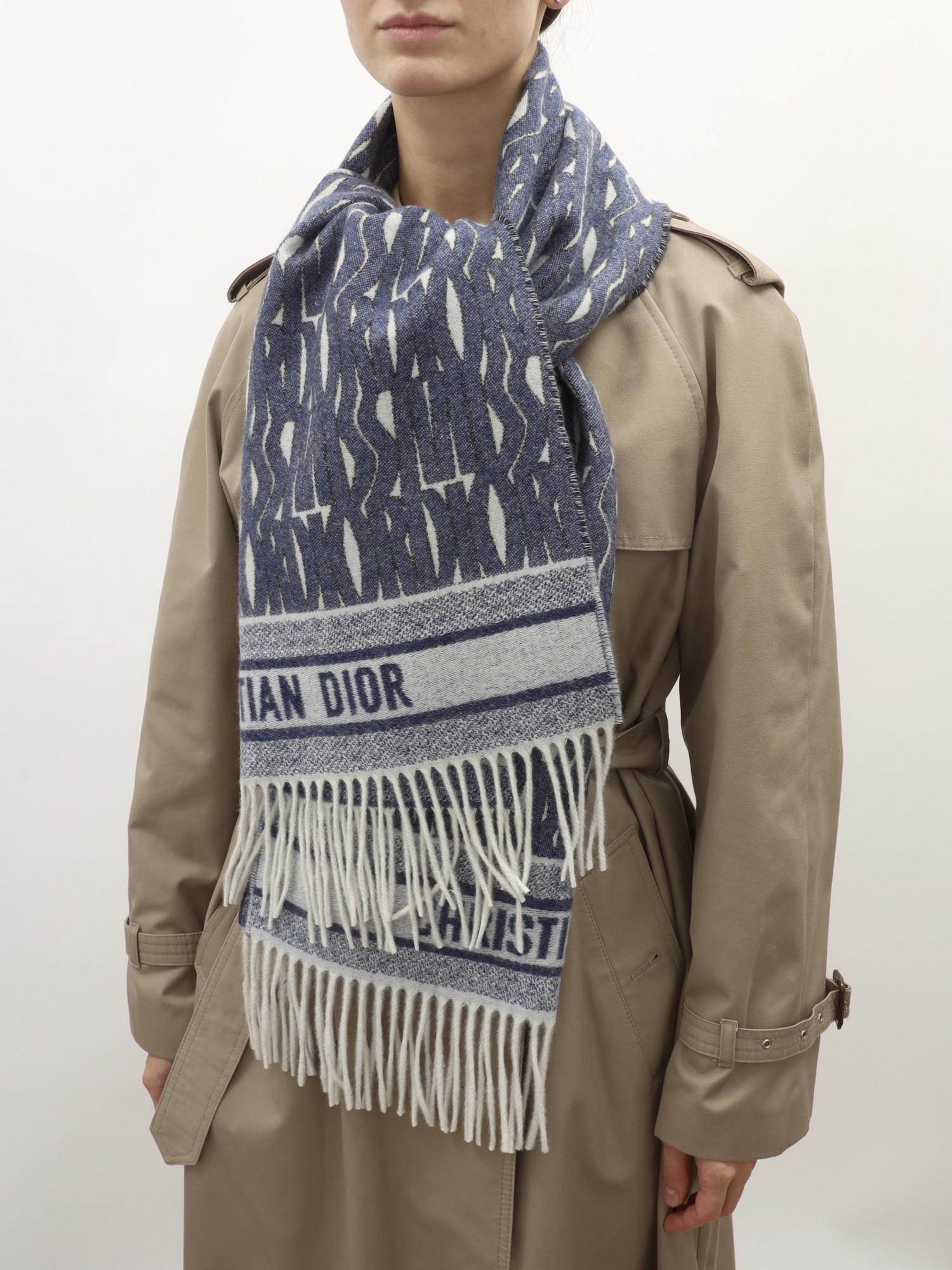 Dior Scarf 1