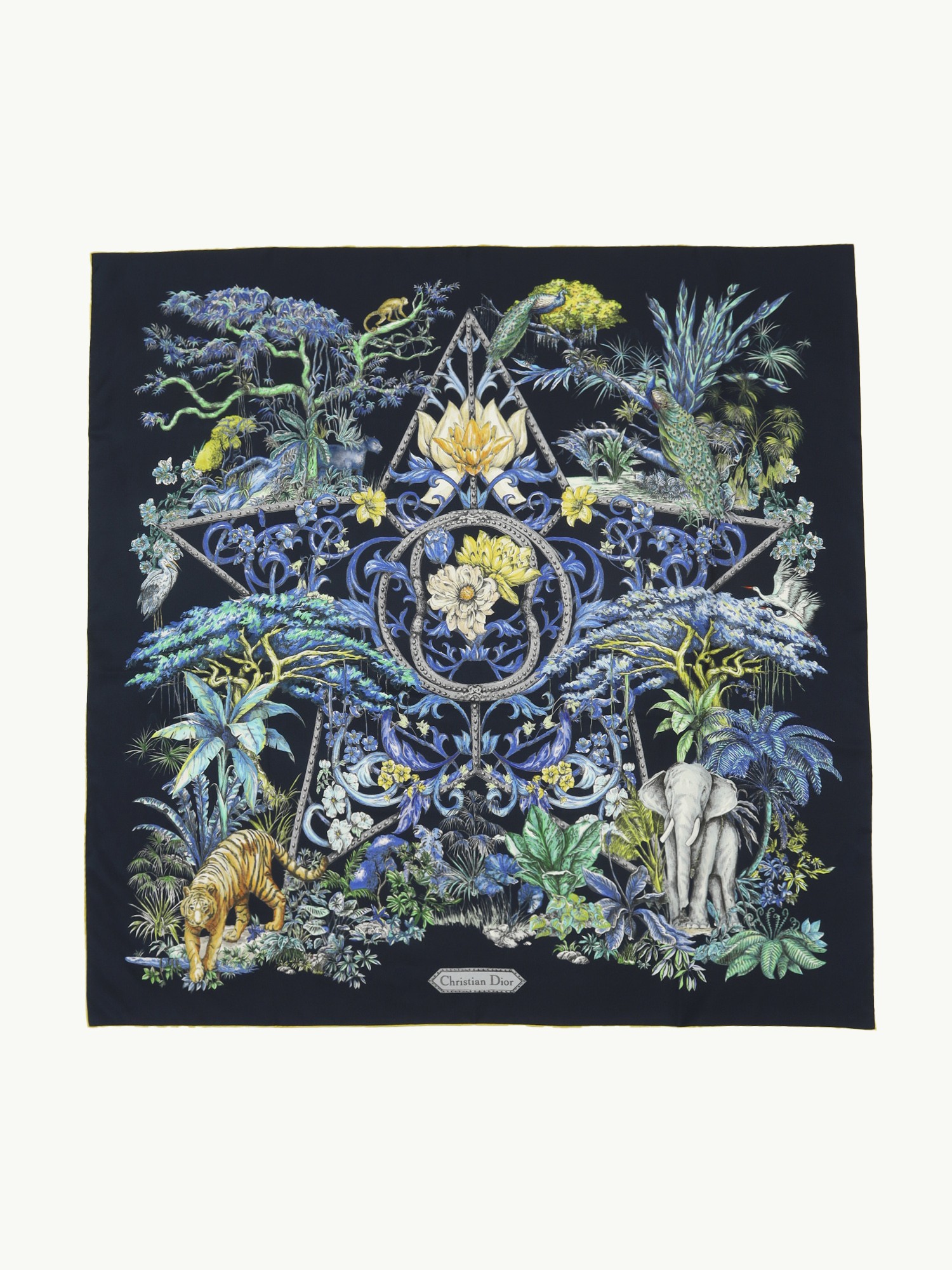 Dior Silk Scarf  0