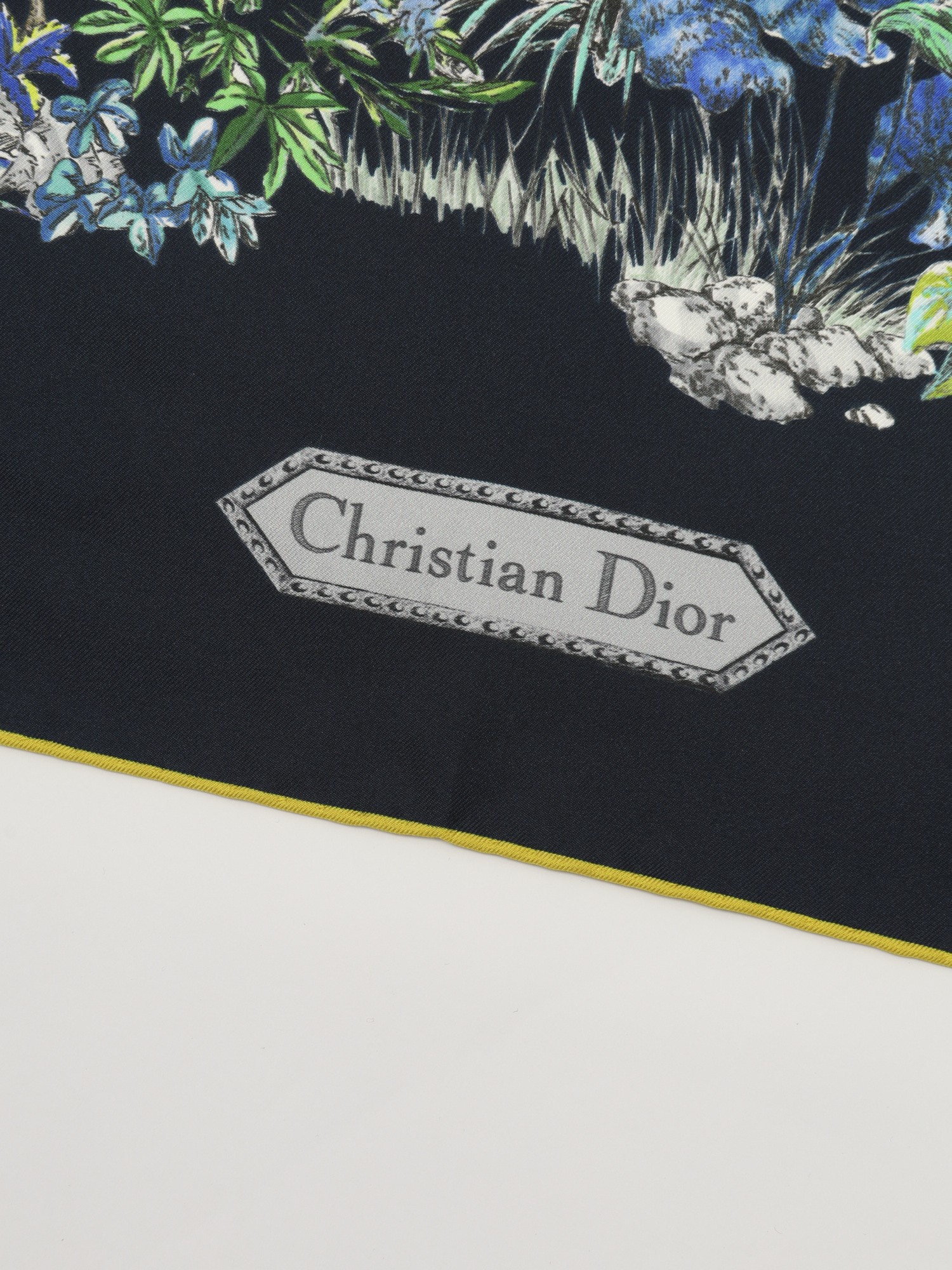 Dior Silk Scarf  2