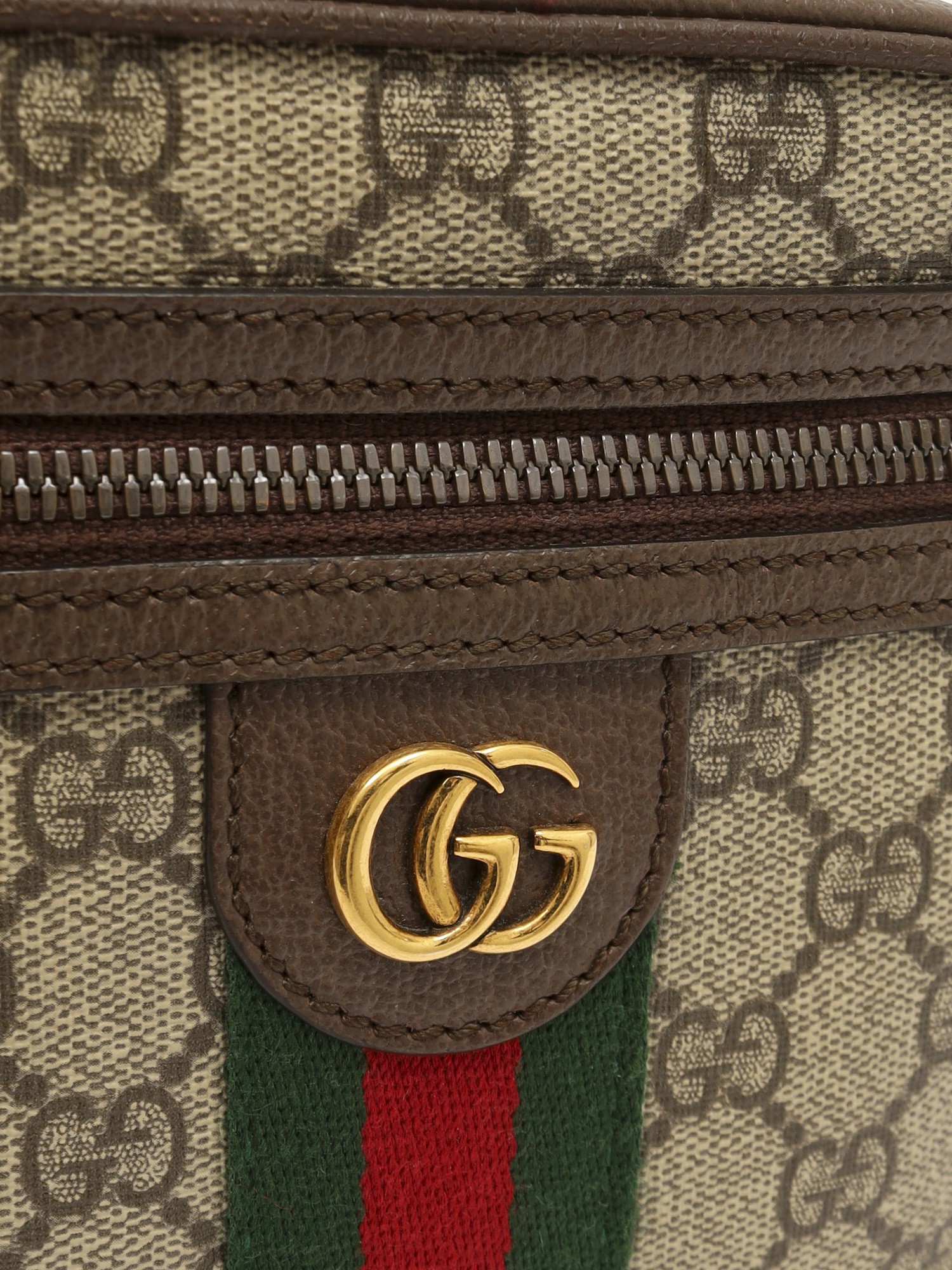 Gucci Ophidia  5