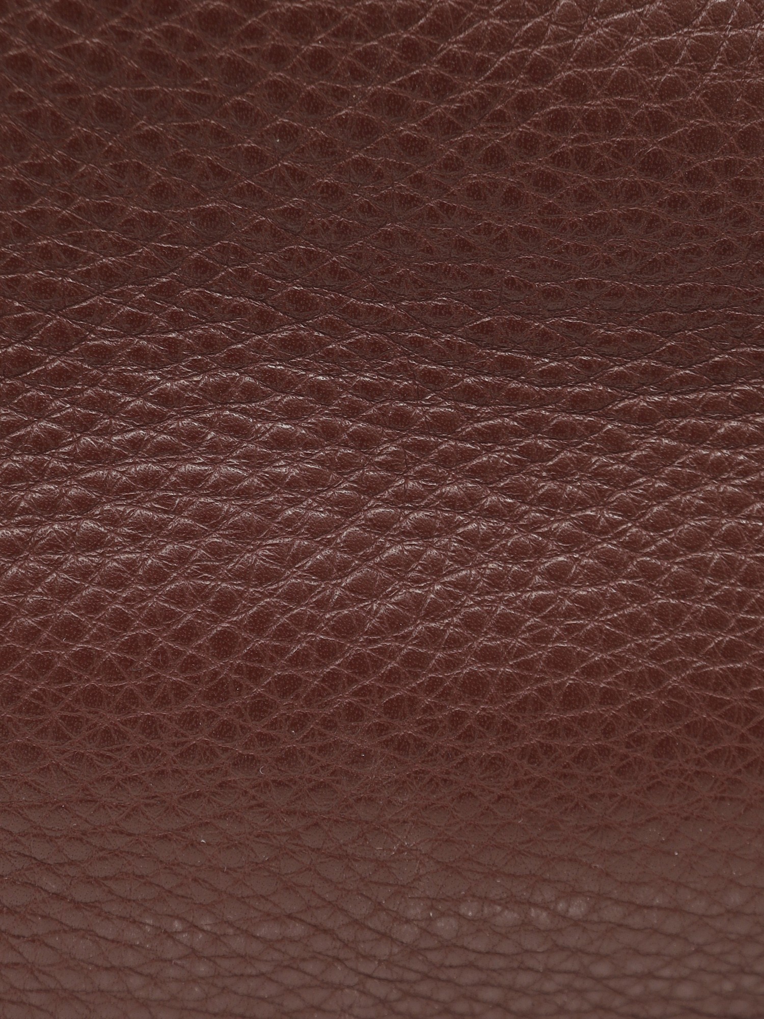 Valentino Leather Bag  10