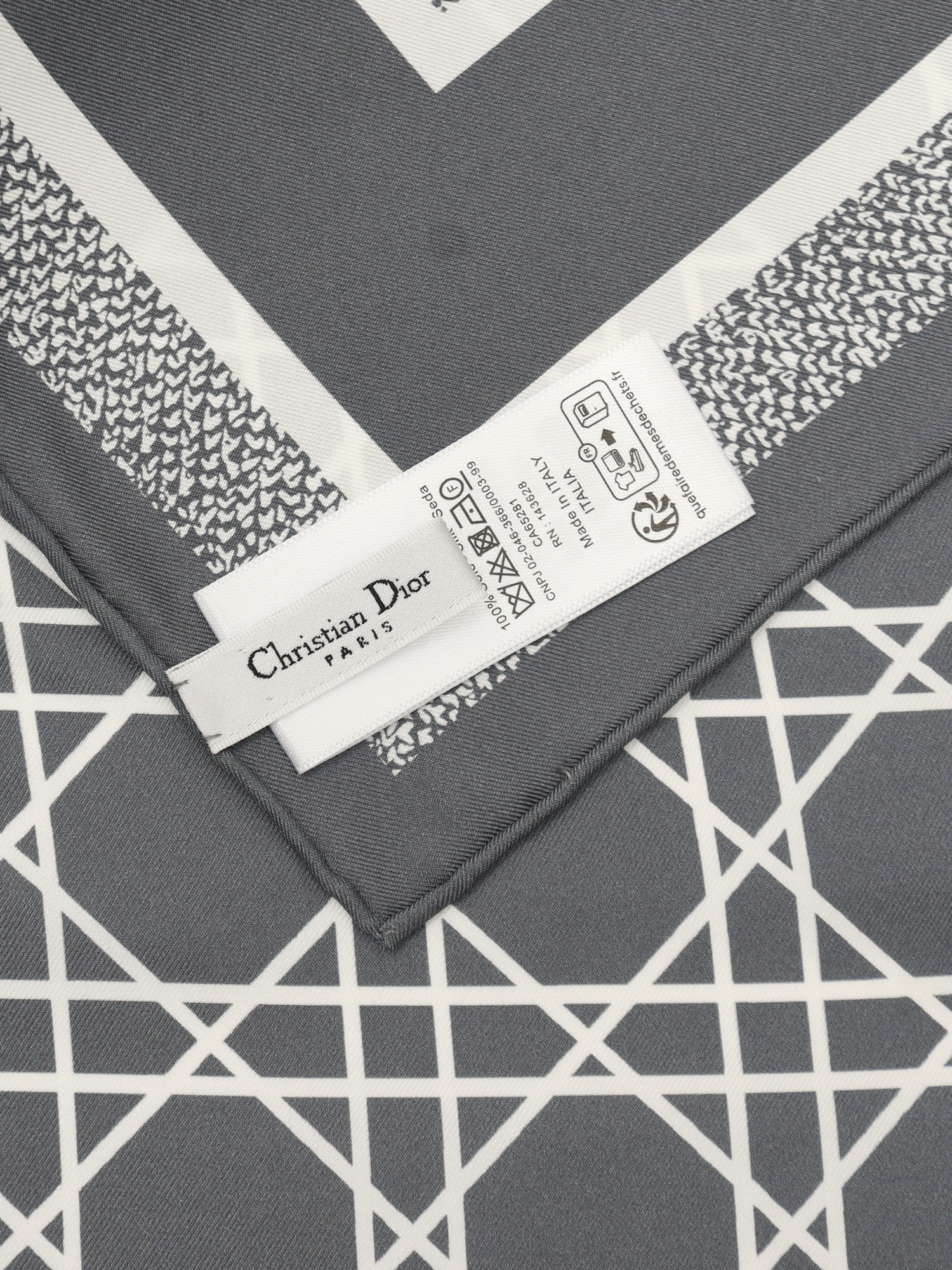 Dior Silk Scarf  6